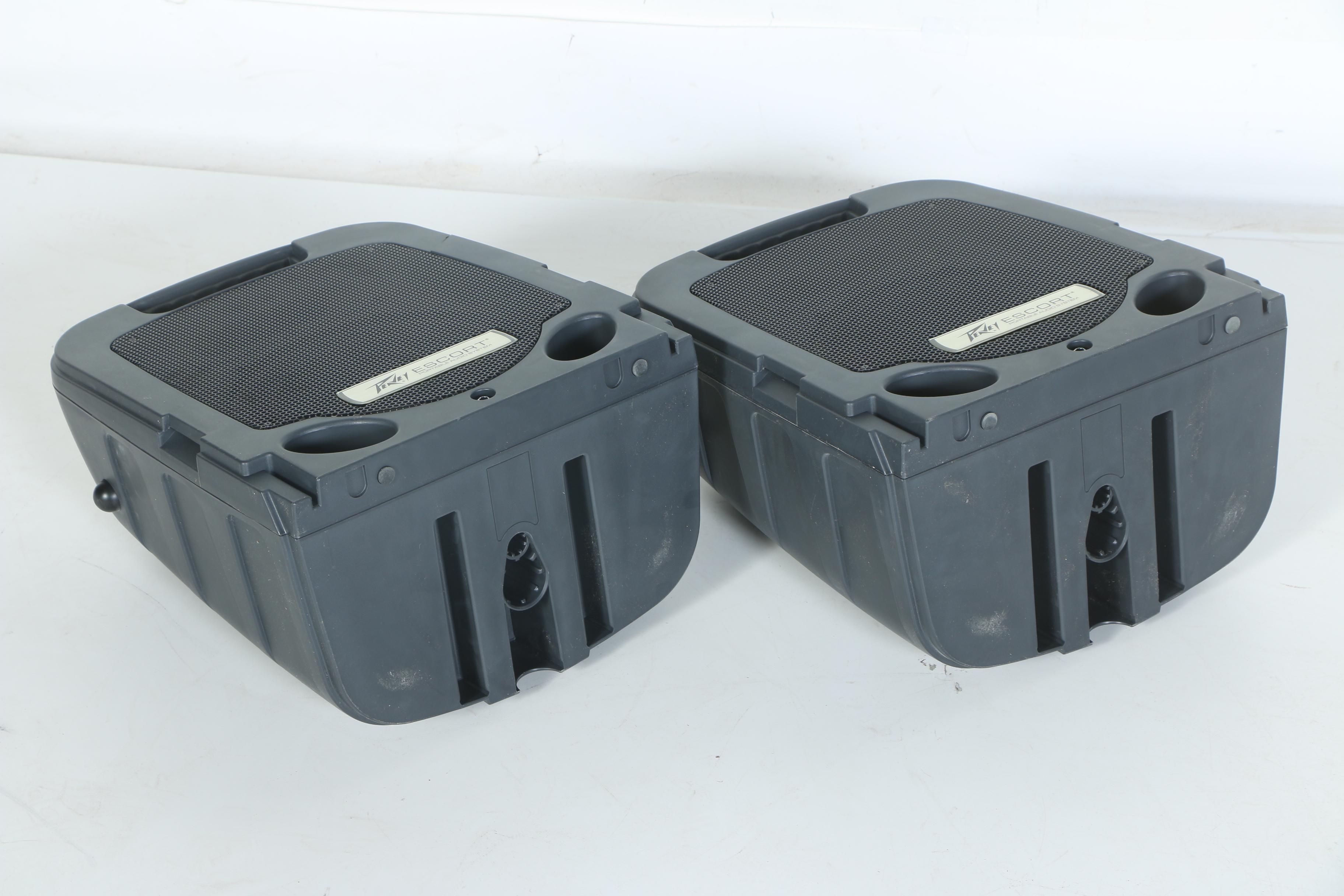 Peavey Escort PA System with Microphones