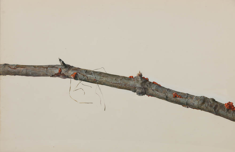 Attributed to Alicia Czechowski Gouache Painting