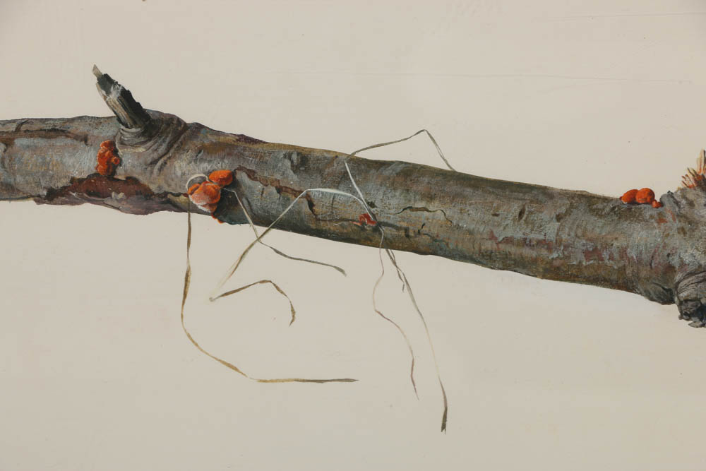 Attributed to Alicia Czechowski Gouache Painting