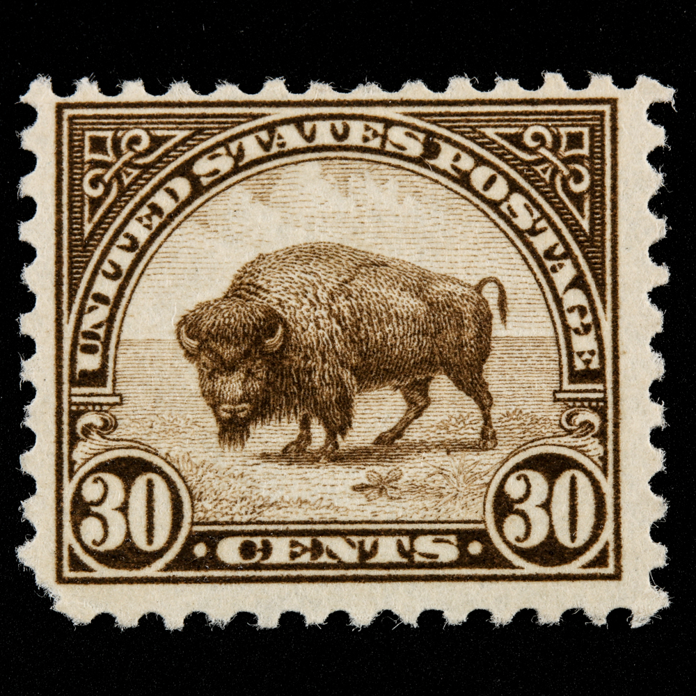 1931 United States Bison Postage Stamp Scott #700