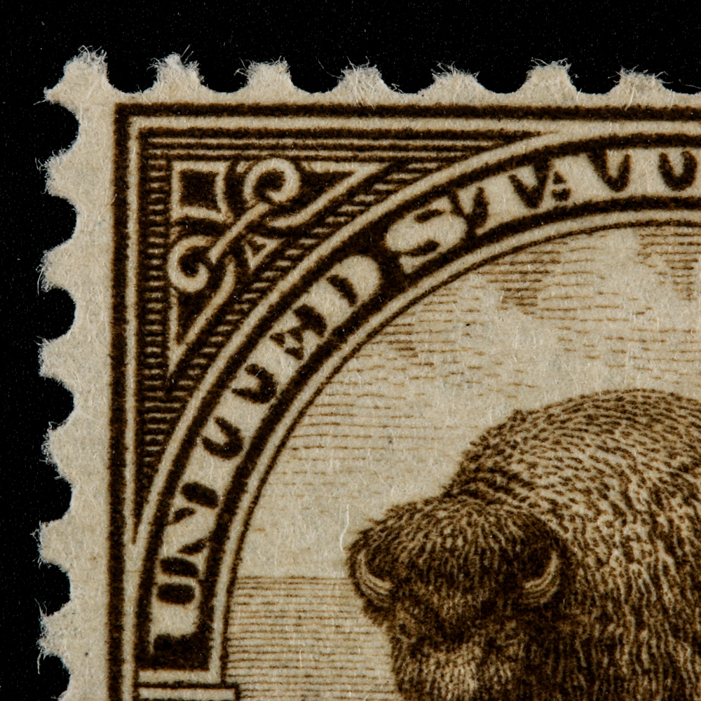 1931 United States Bison Postage Stamp Scott #700