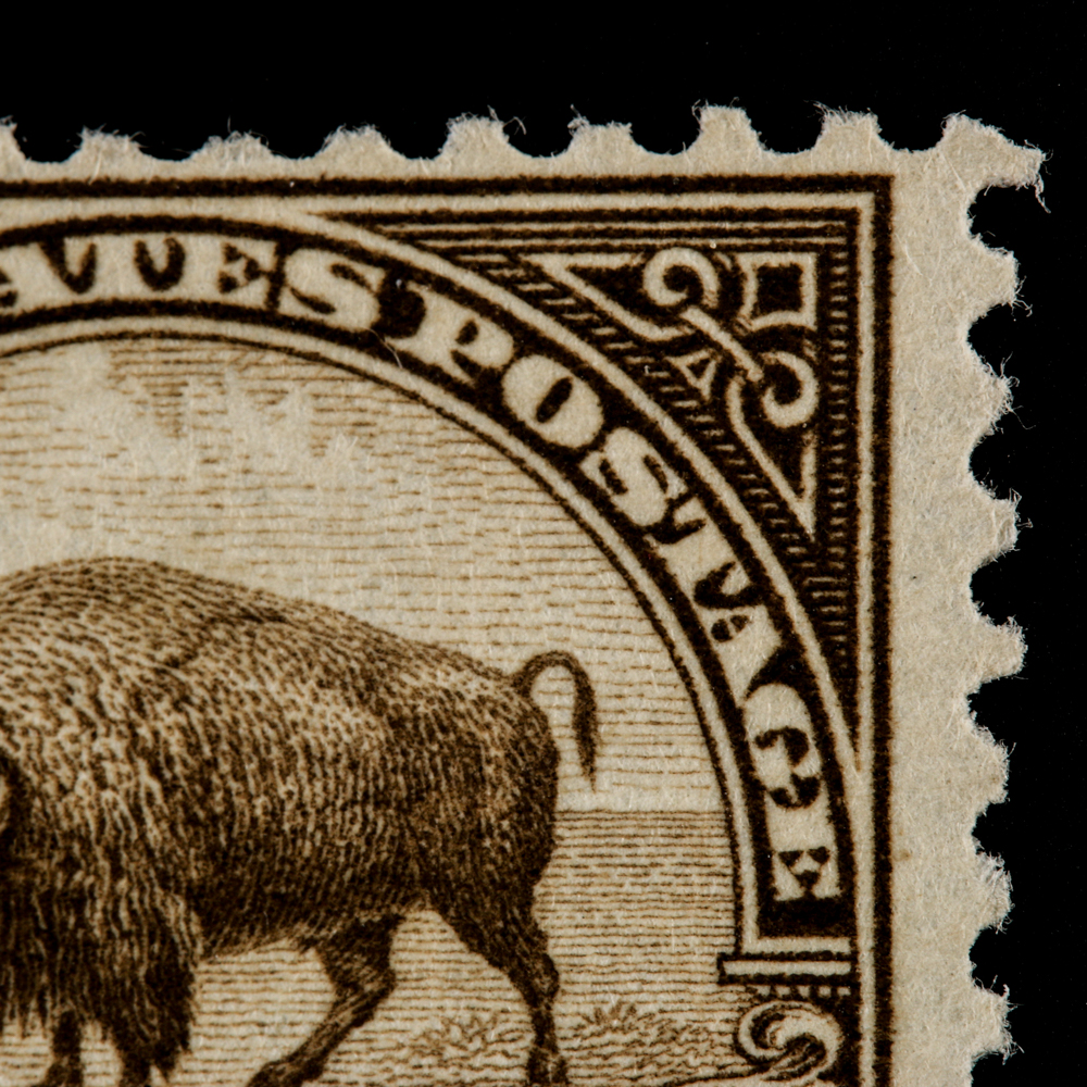 1931 United States Bison Postage Stamp Scott #700