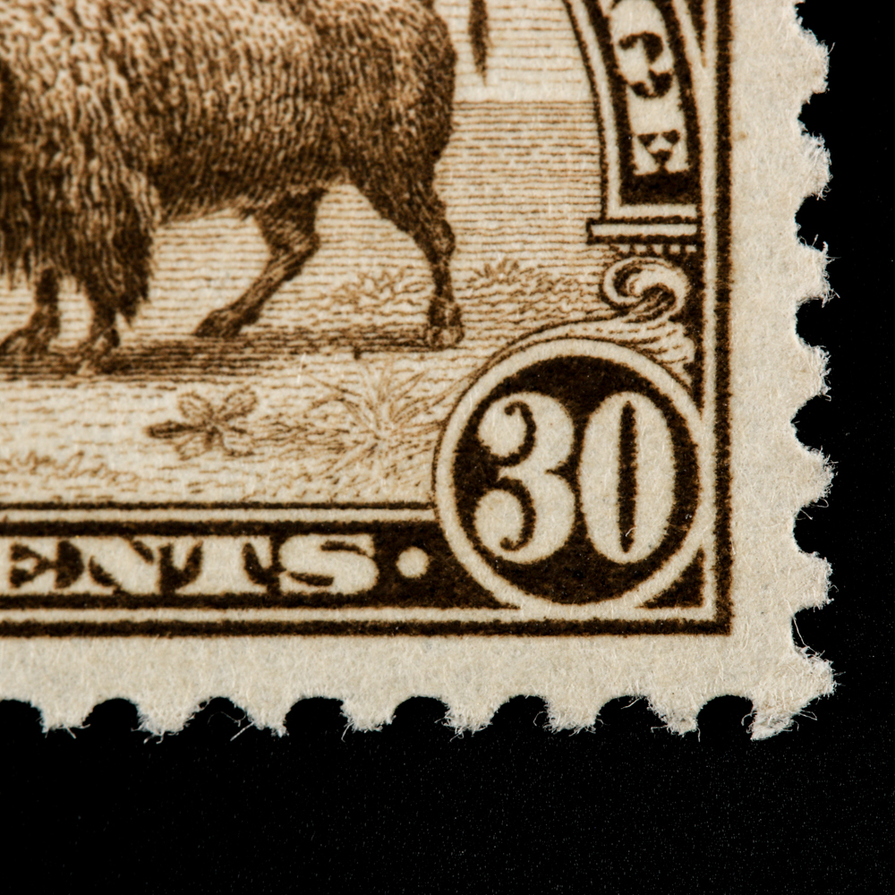 1931 United States Bison Postage Stamp Scott #700