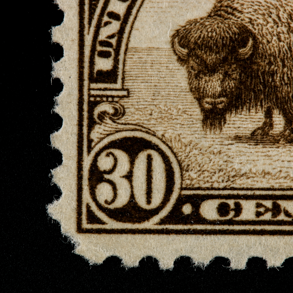 1931 United States Bison Postage Stamp Scott #700
