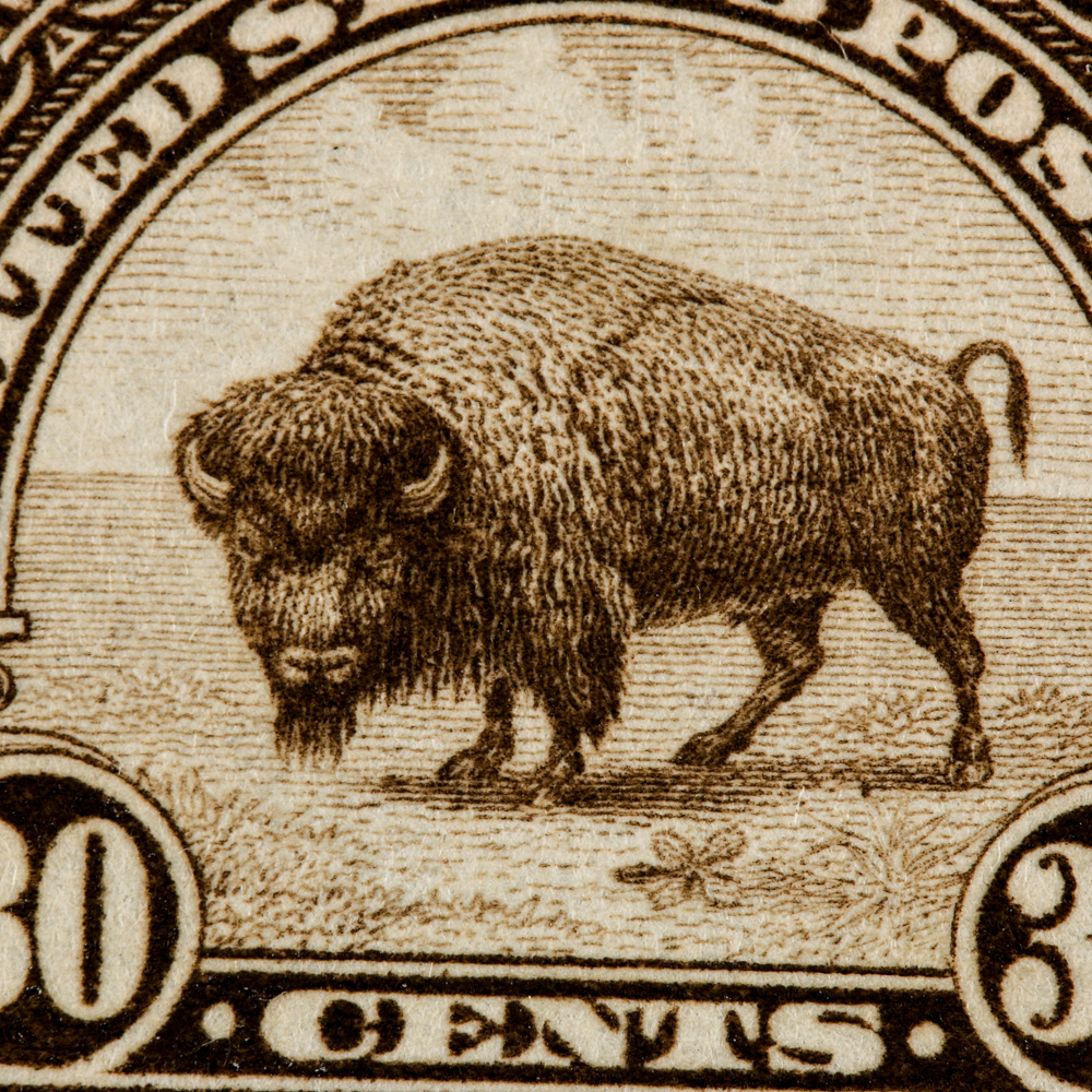 1931 United States Bison Postage Stamp Scott #700