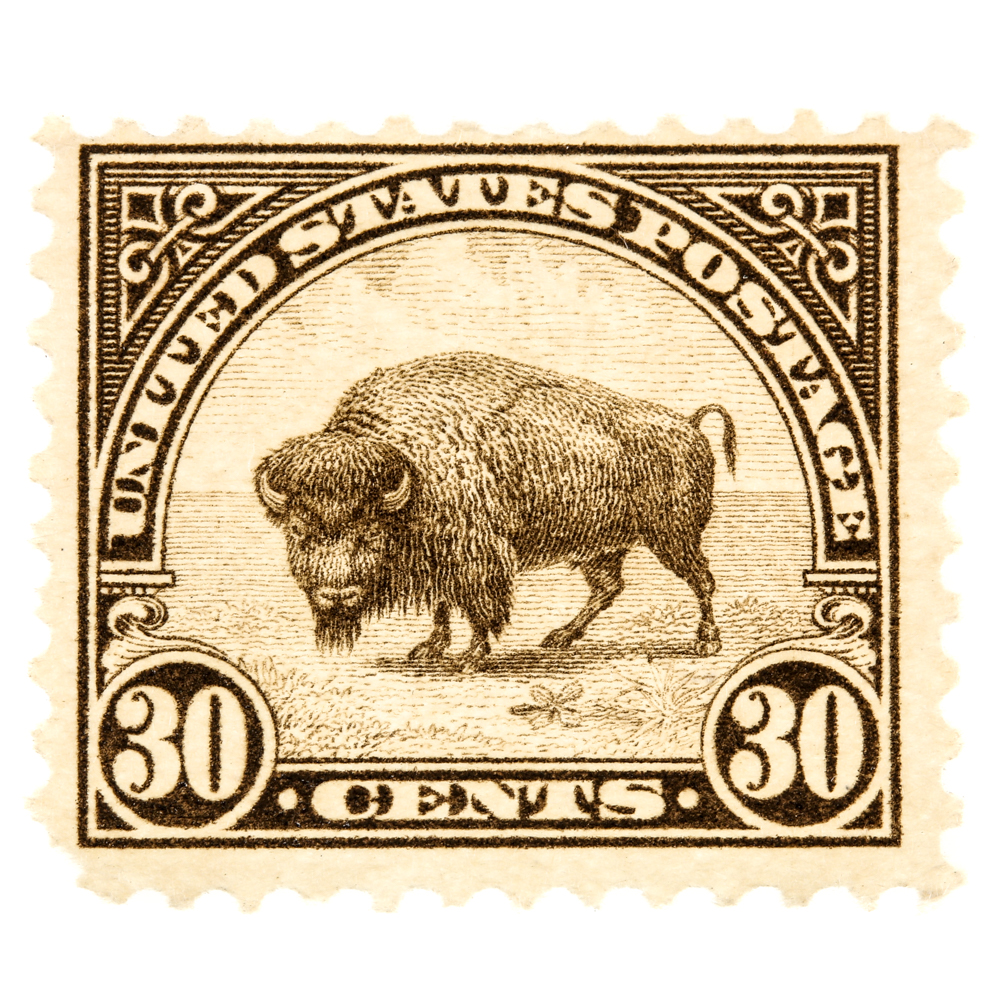 1931 United States Bison Postage Stamp Scott #700