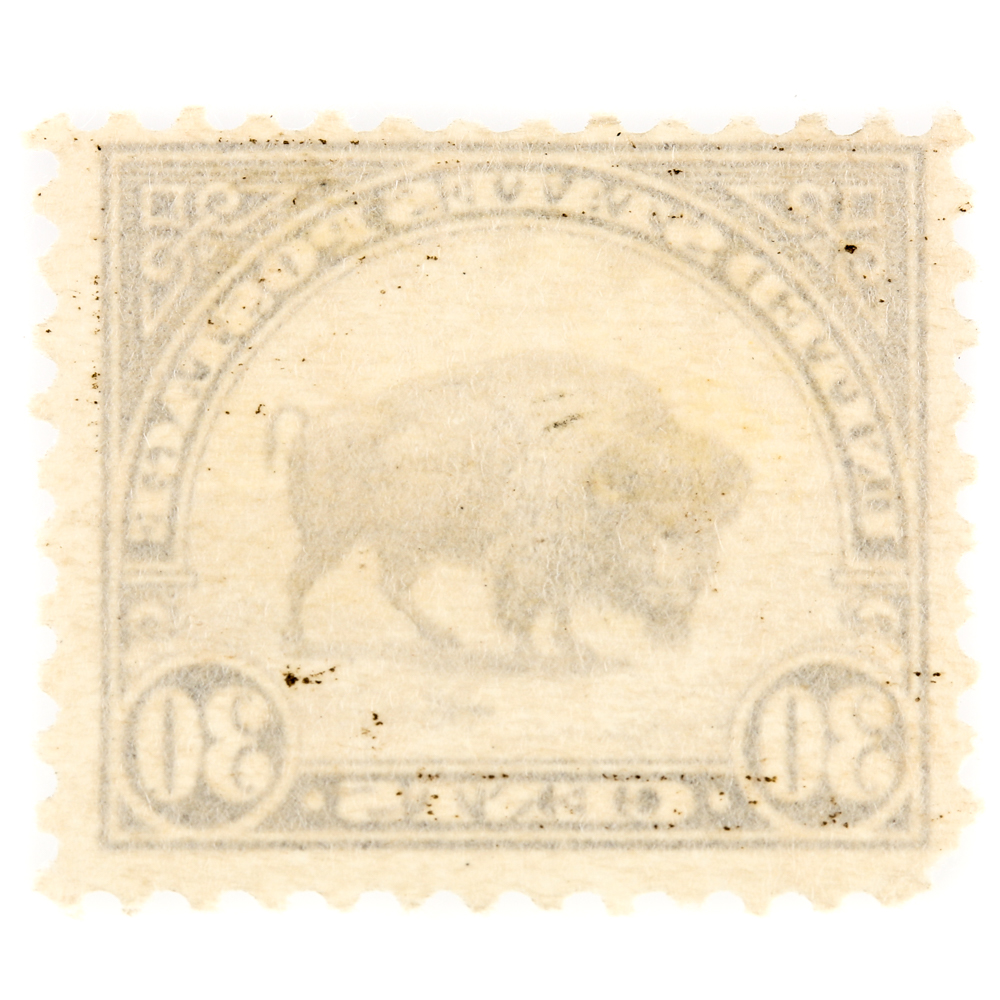 1931 United States Bison Postage Stamp Scott #700