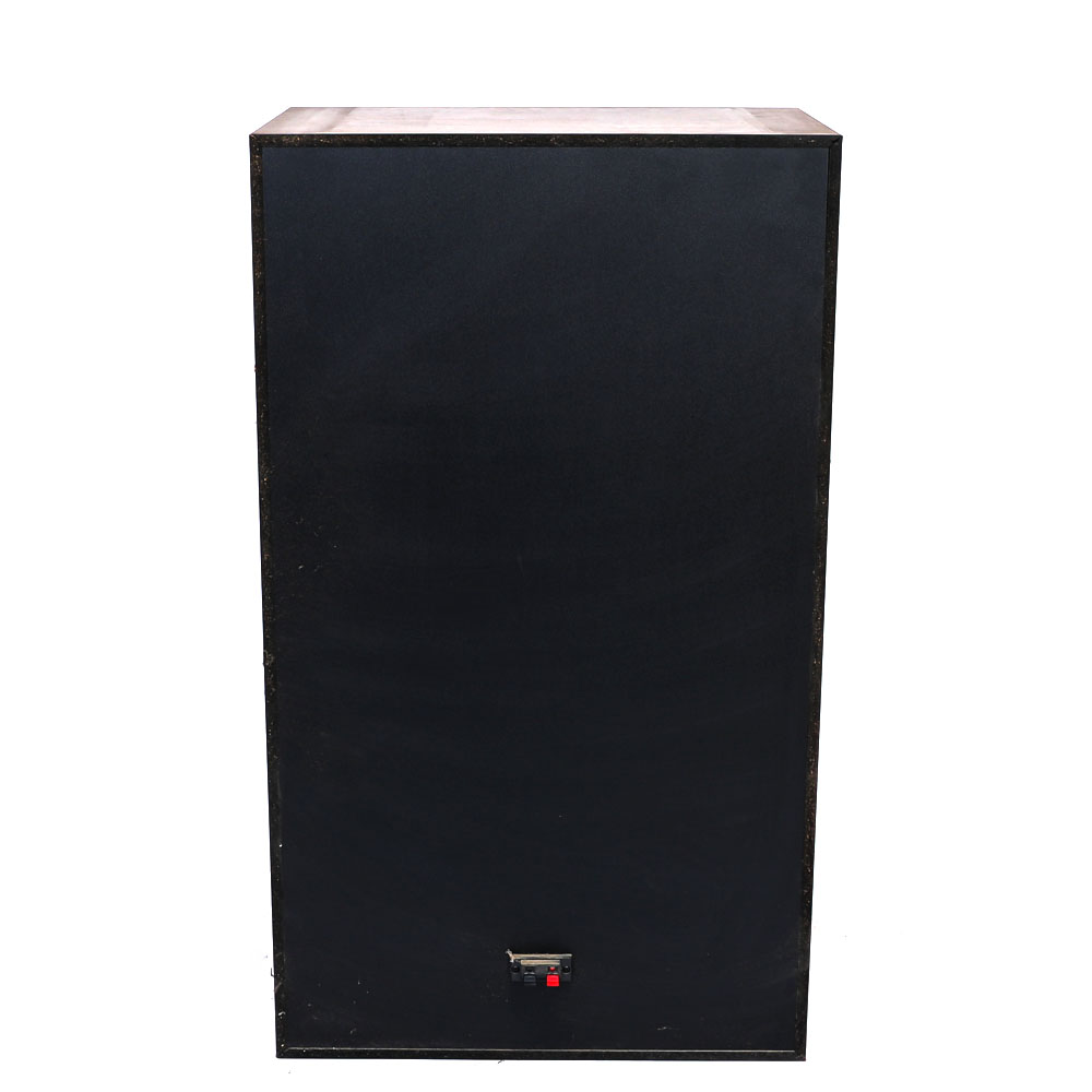 Jensen Floor Speakers