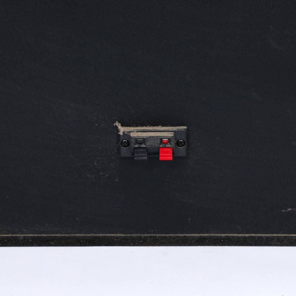 Jensen Floor Speakers