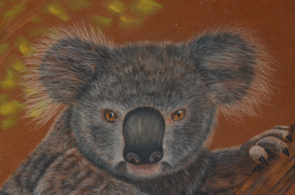 Linda Poynter Pastel Drawing of a Koala Bear