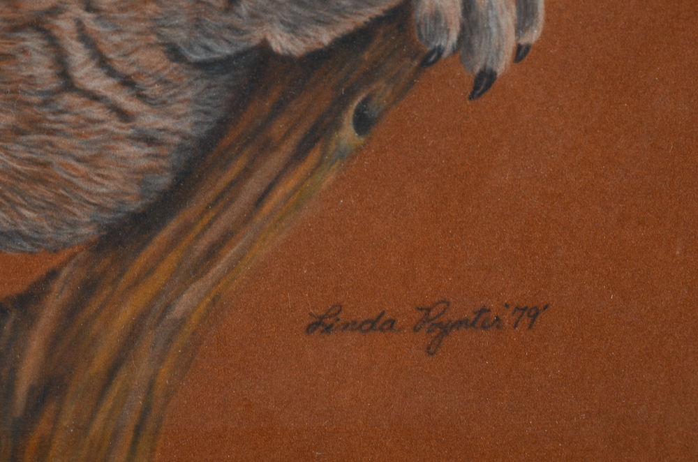 Linda Poynter Pastel Drawing of a Koala Bear