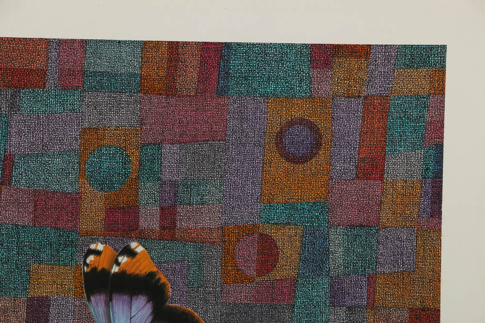 Ben Black Mixed Media Painting "Tuberous Begonia"