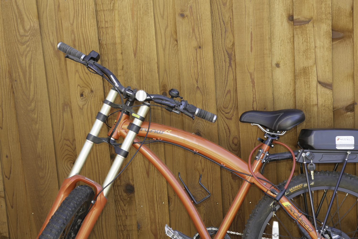 Prodeco Technologies Outlaw SS Electric Bicycle