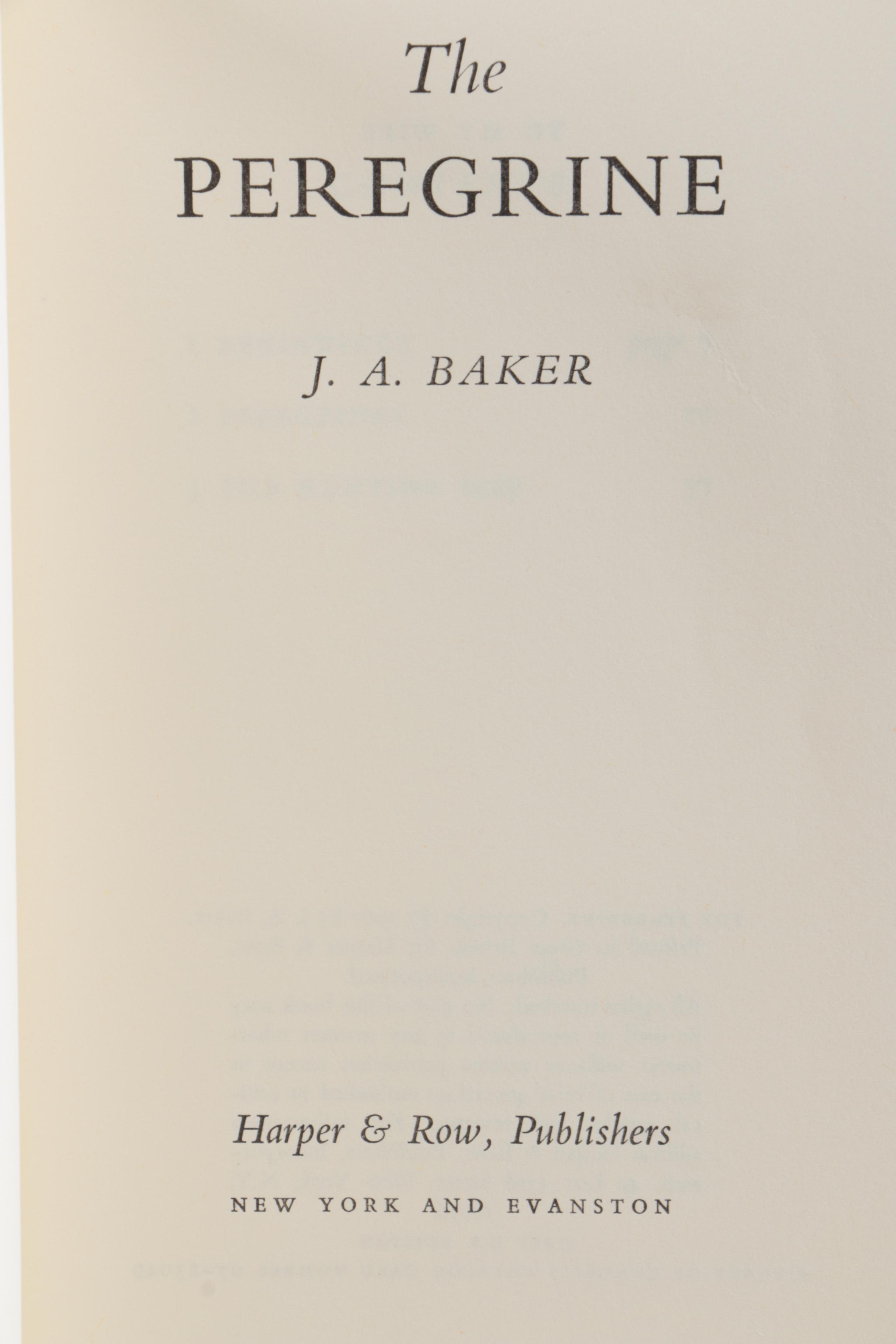 Vintage Ornithology Books Including "A Hawk for the Bush"