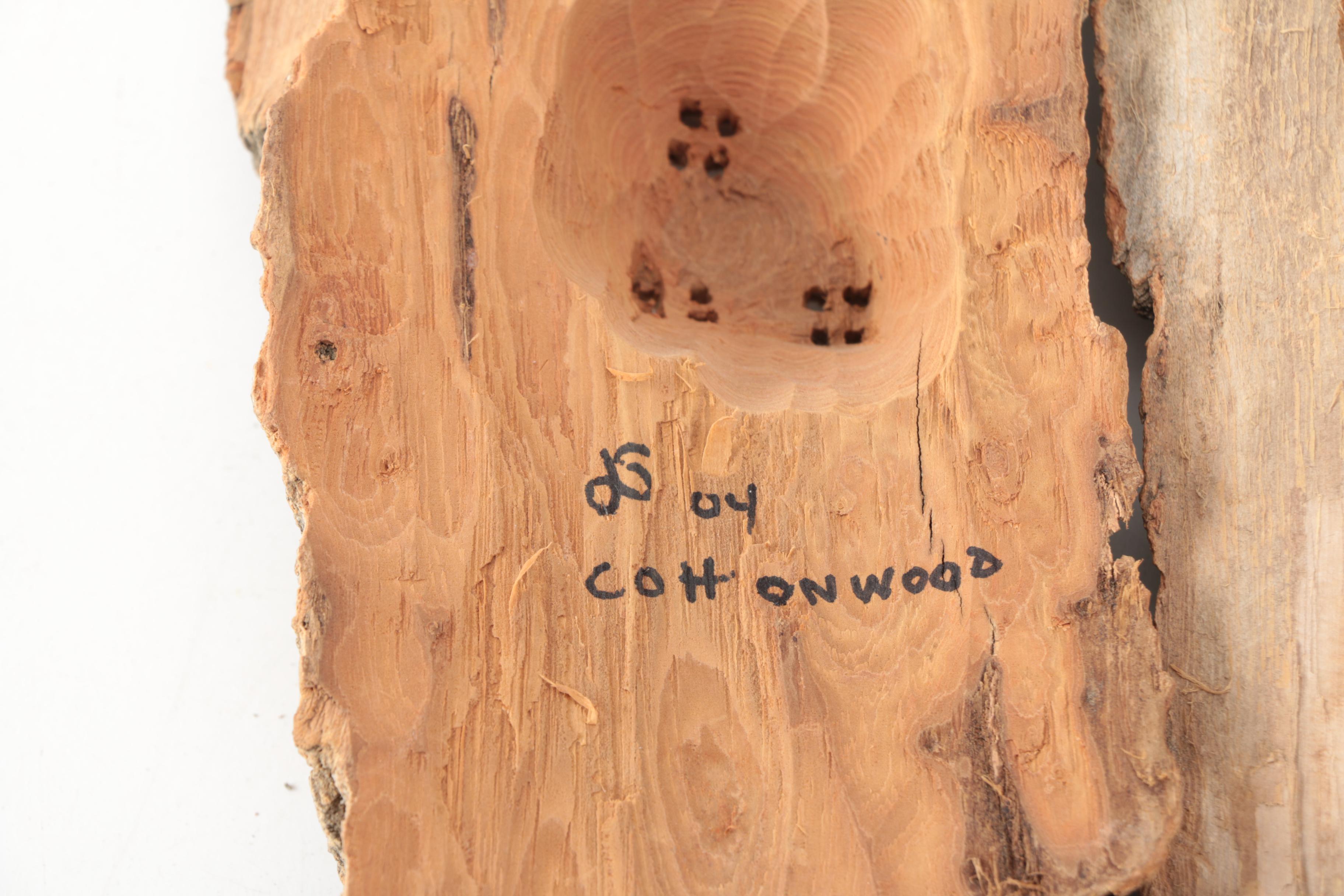 Collection of Cottonwood Bark Carvings