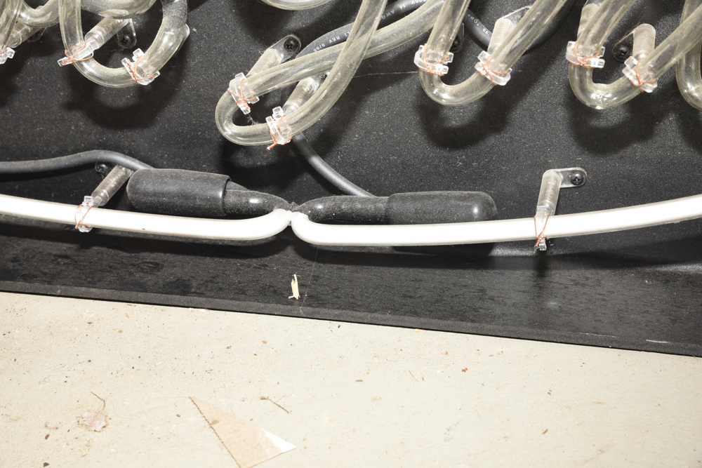 "Live Girls" Neon Sign