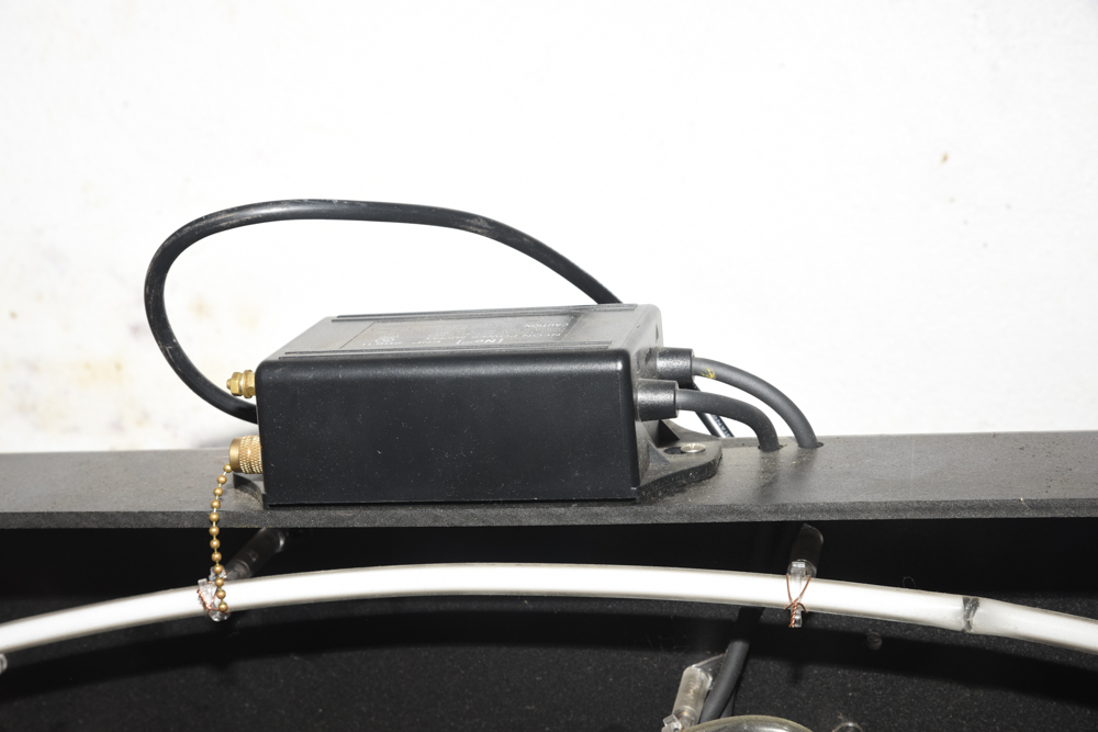 "Live Girls" Neon Sign