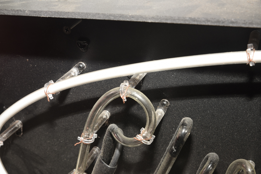 "Live Girls" Neon Sign