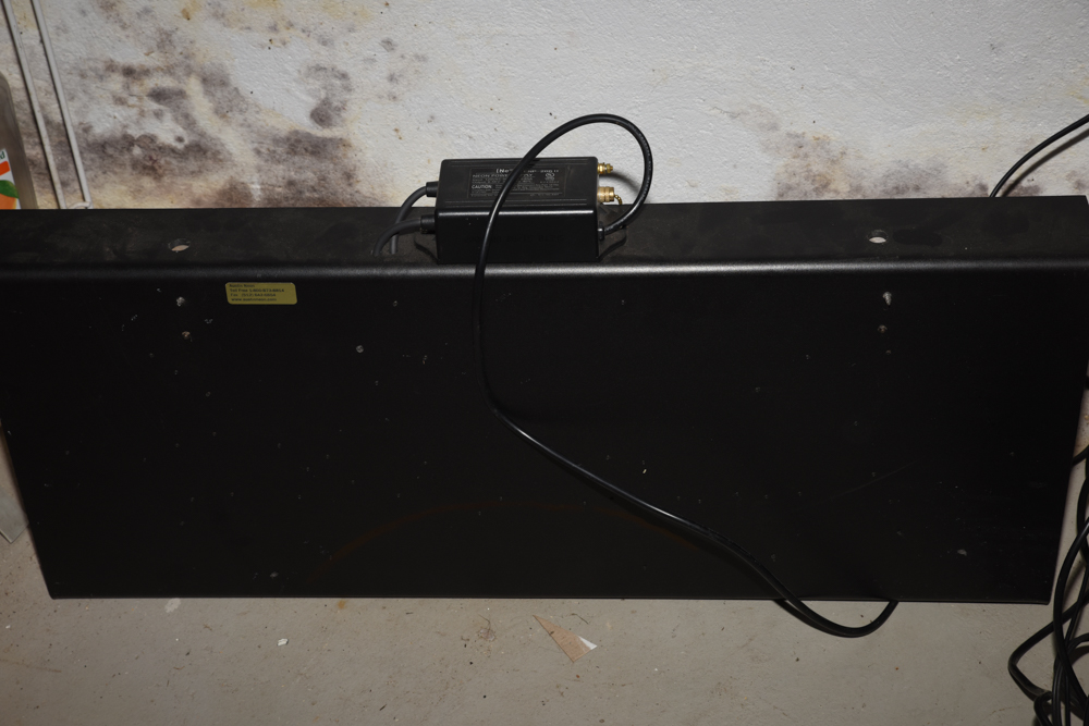 "Live Girls" Neon Sign