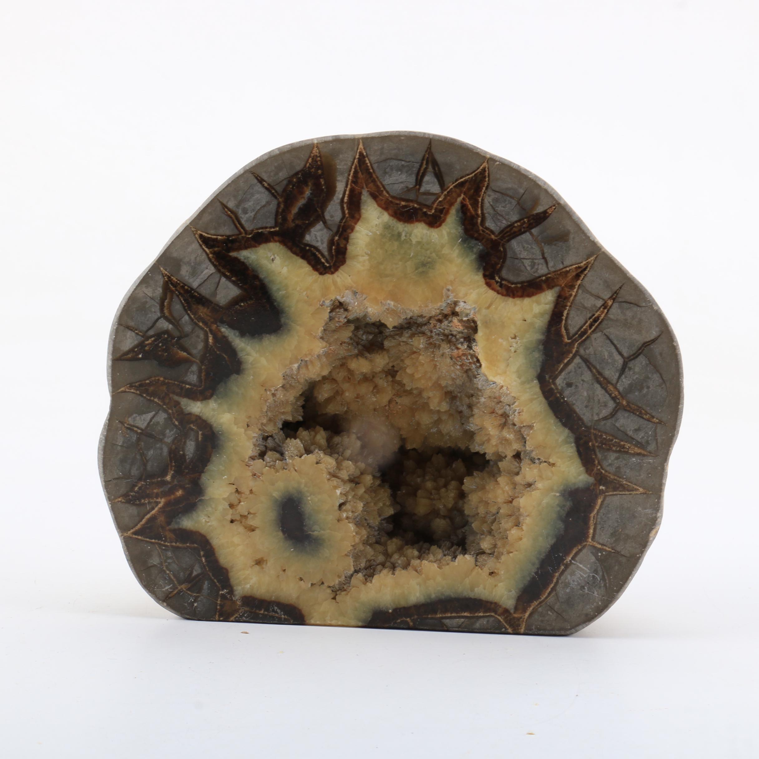 Septarian Nodule Specimen