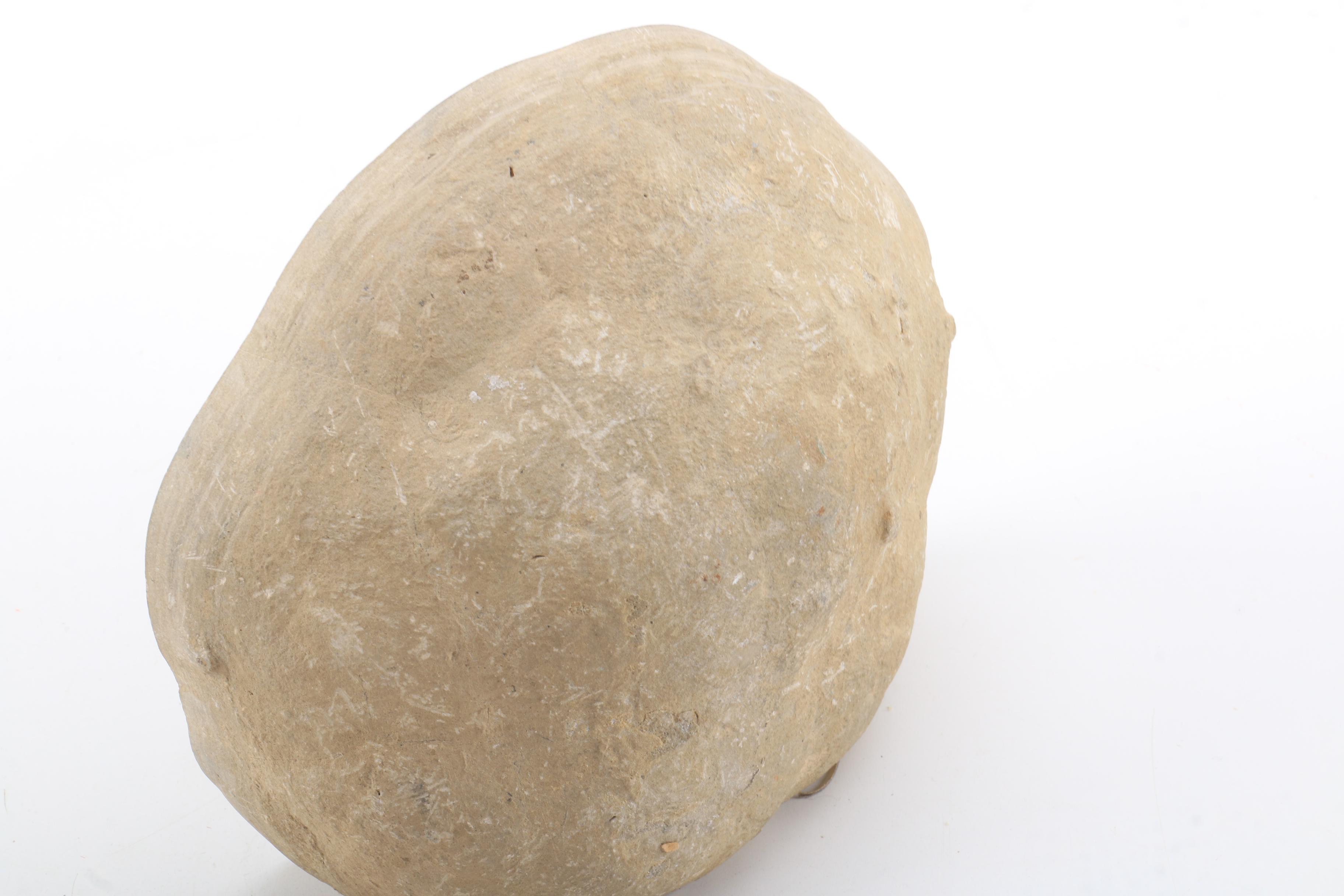 Septarian Nodule Specimen