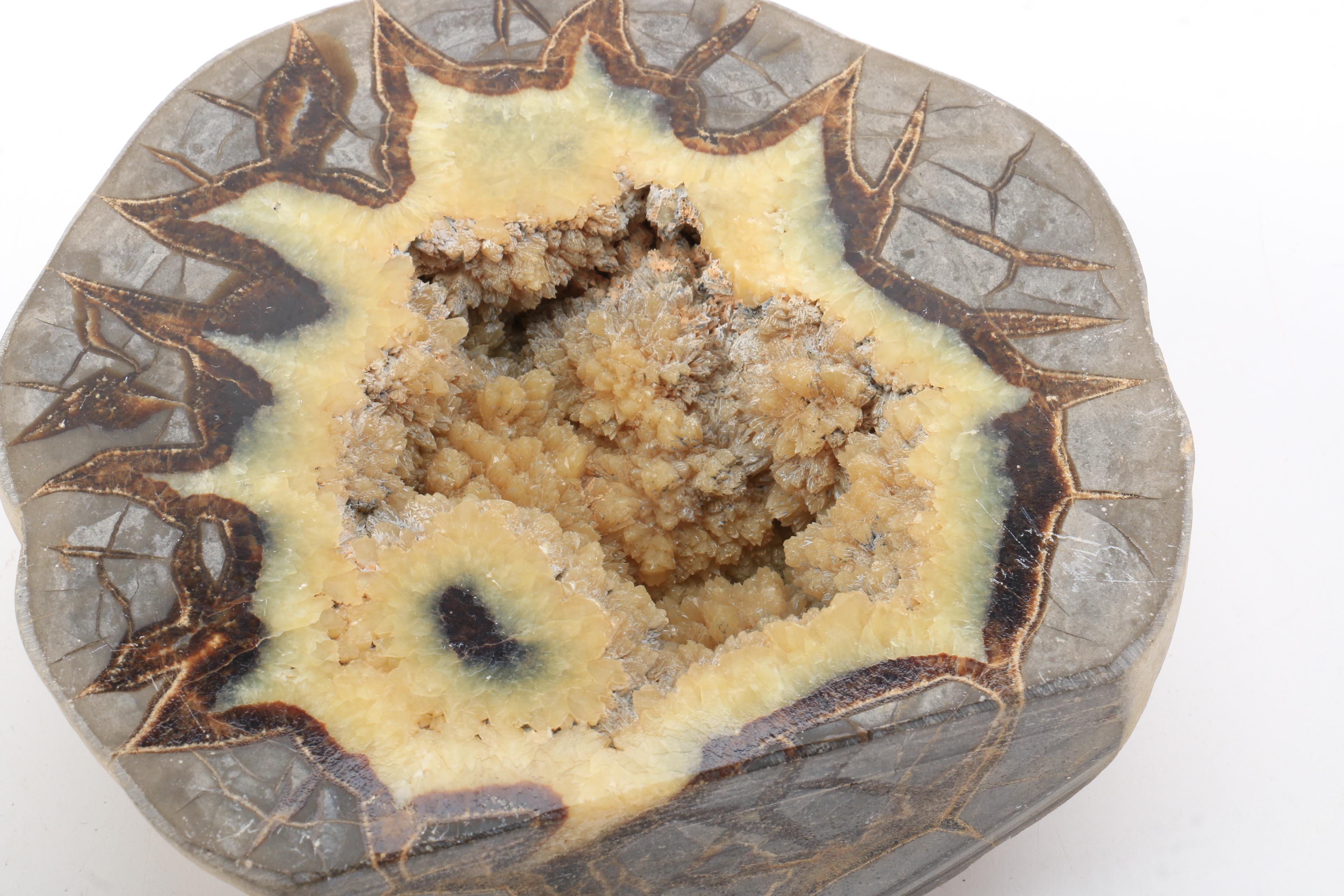 Septarian Nodule Specimen