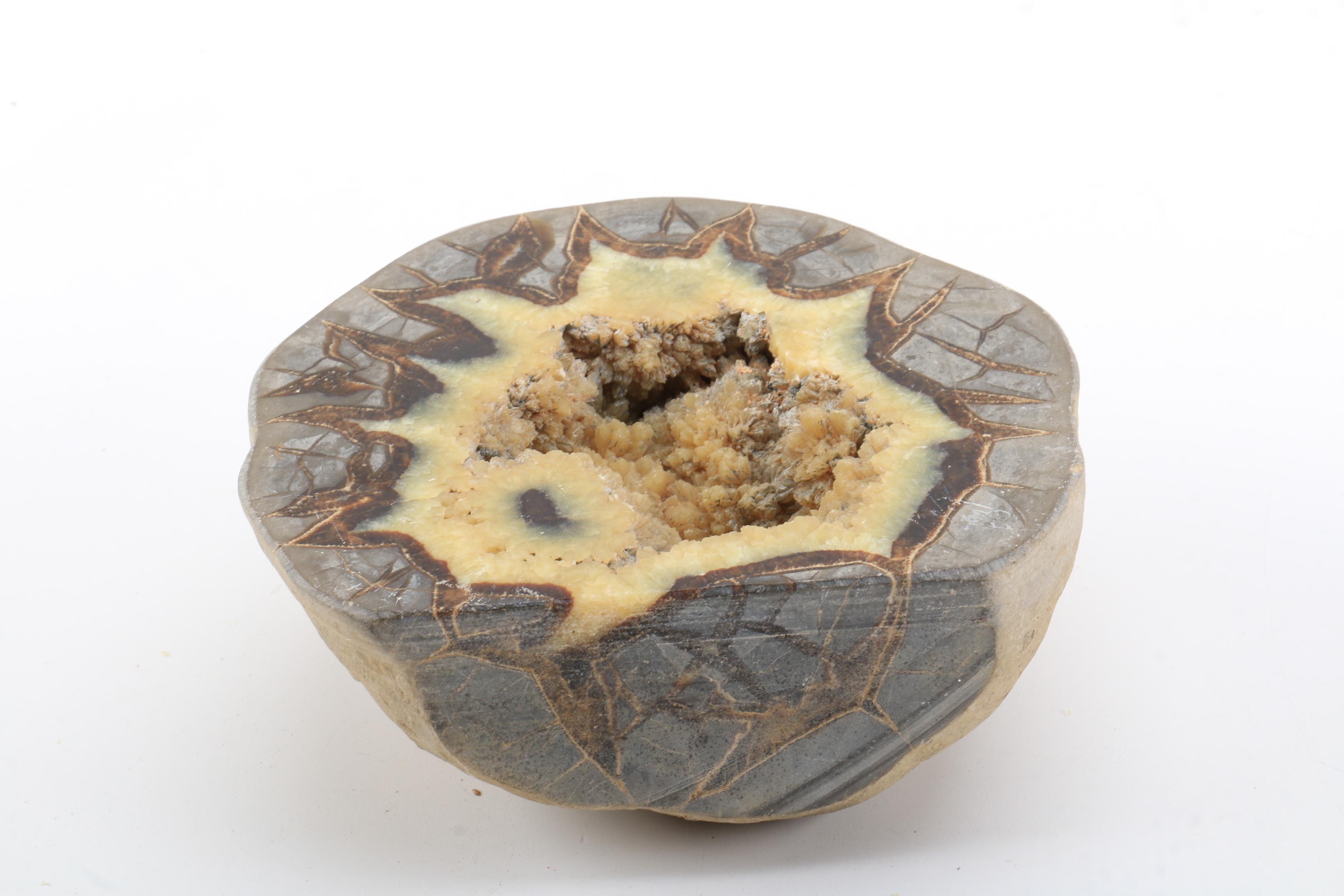 Septarian Nodule Specimen