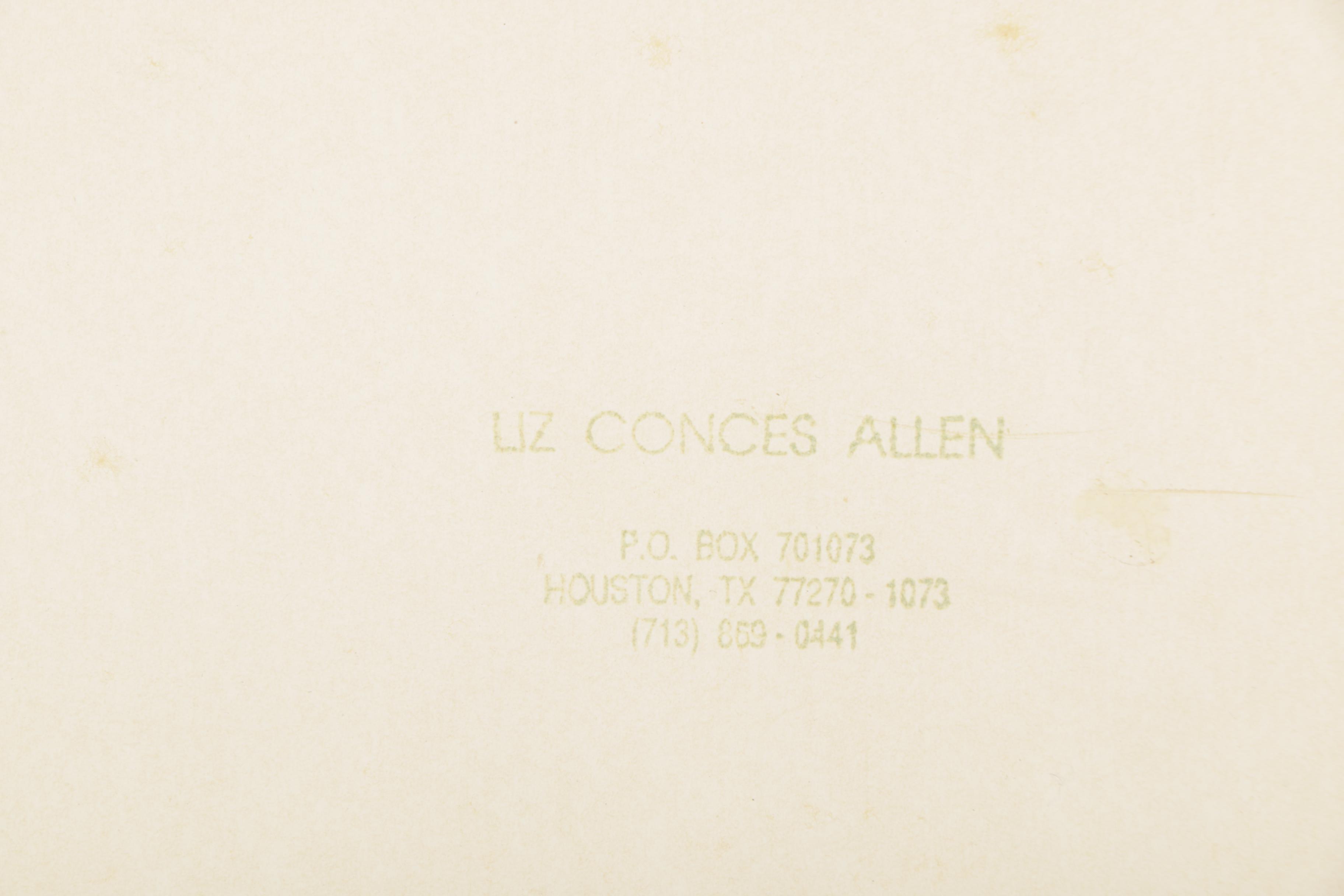 Liz Conces Allen Limited Edition Serigraph "Whirlygig"