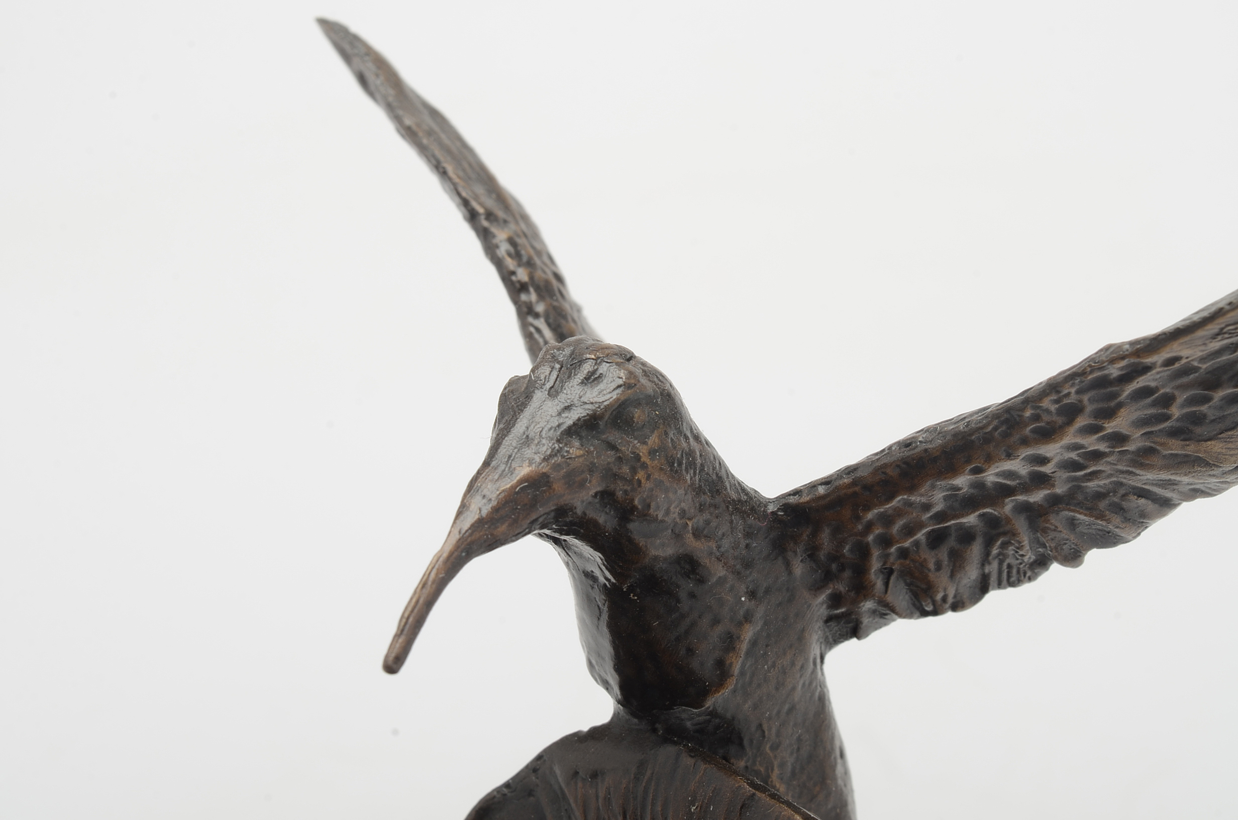 Limited Edition Bronze Hummingbird Sculpture