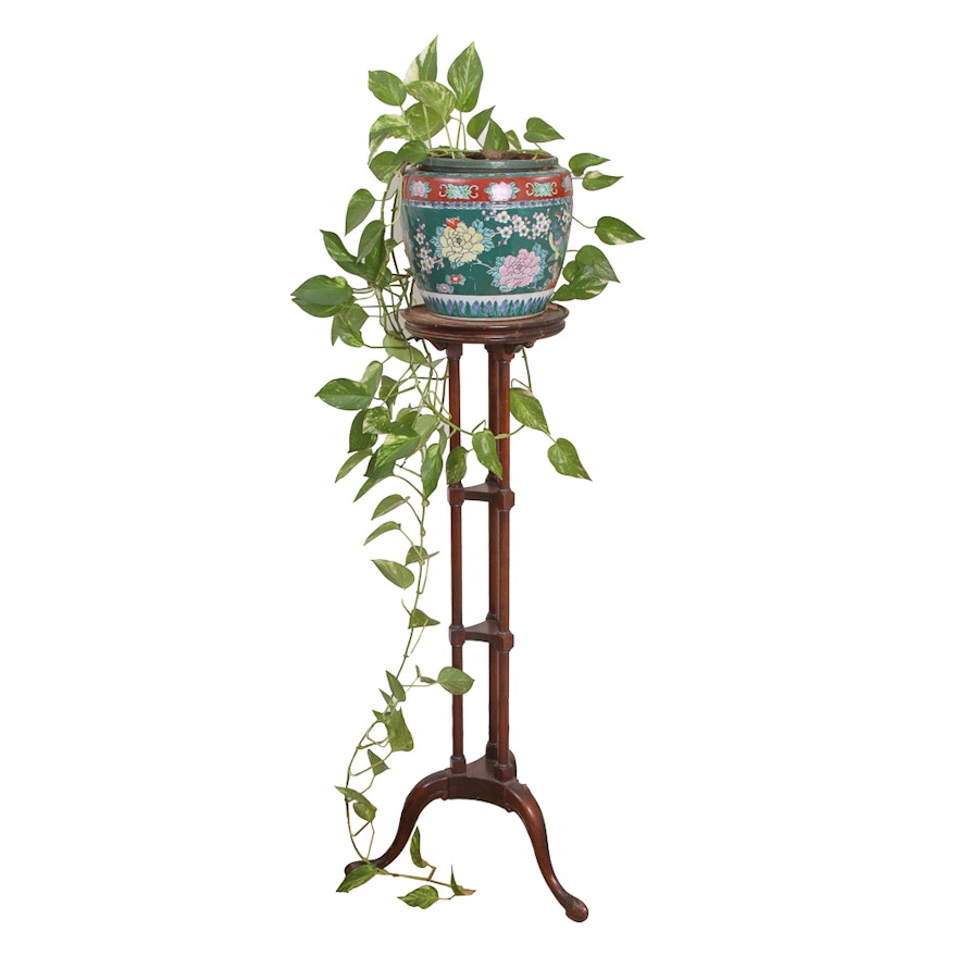 Chinese Planter with House Plant and Plant Stand