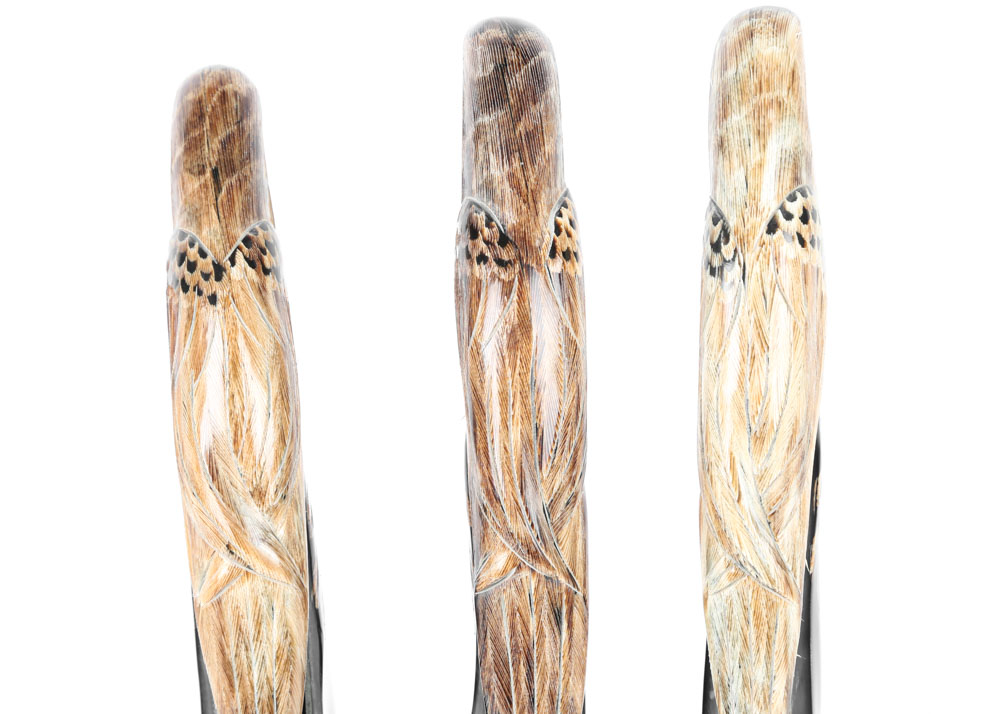 Water Buffalo Horn Parrot Carvings