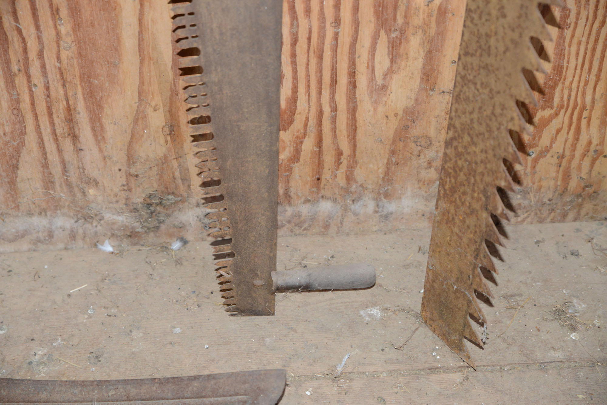 Vintage Saws and Sheath