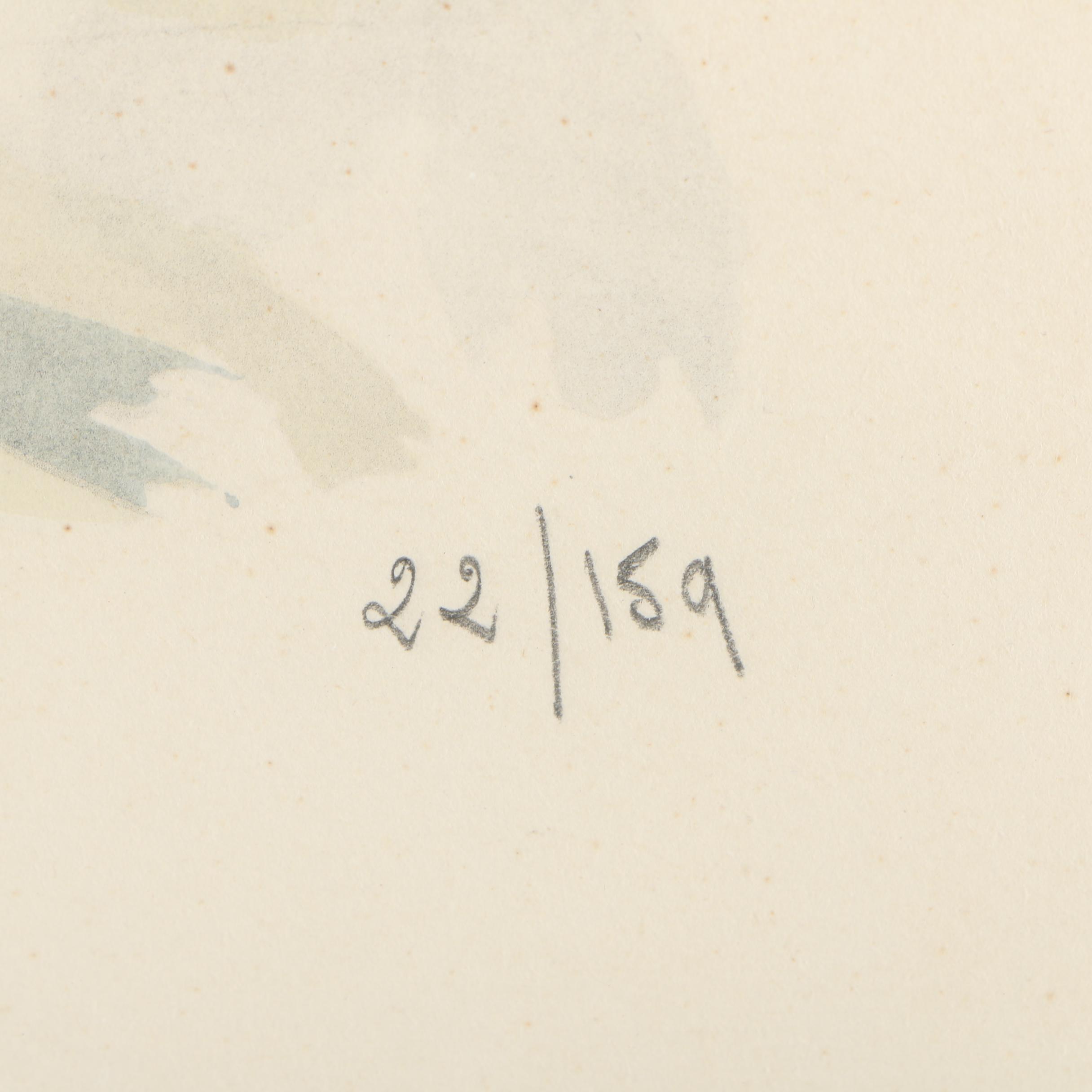 Hand Colored Lithographs After Herbelot