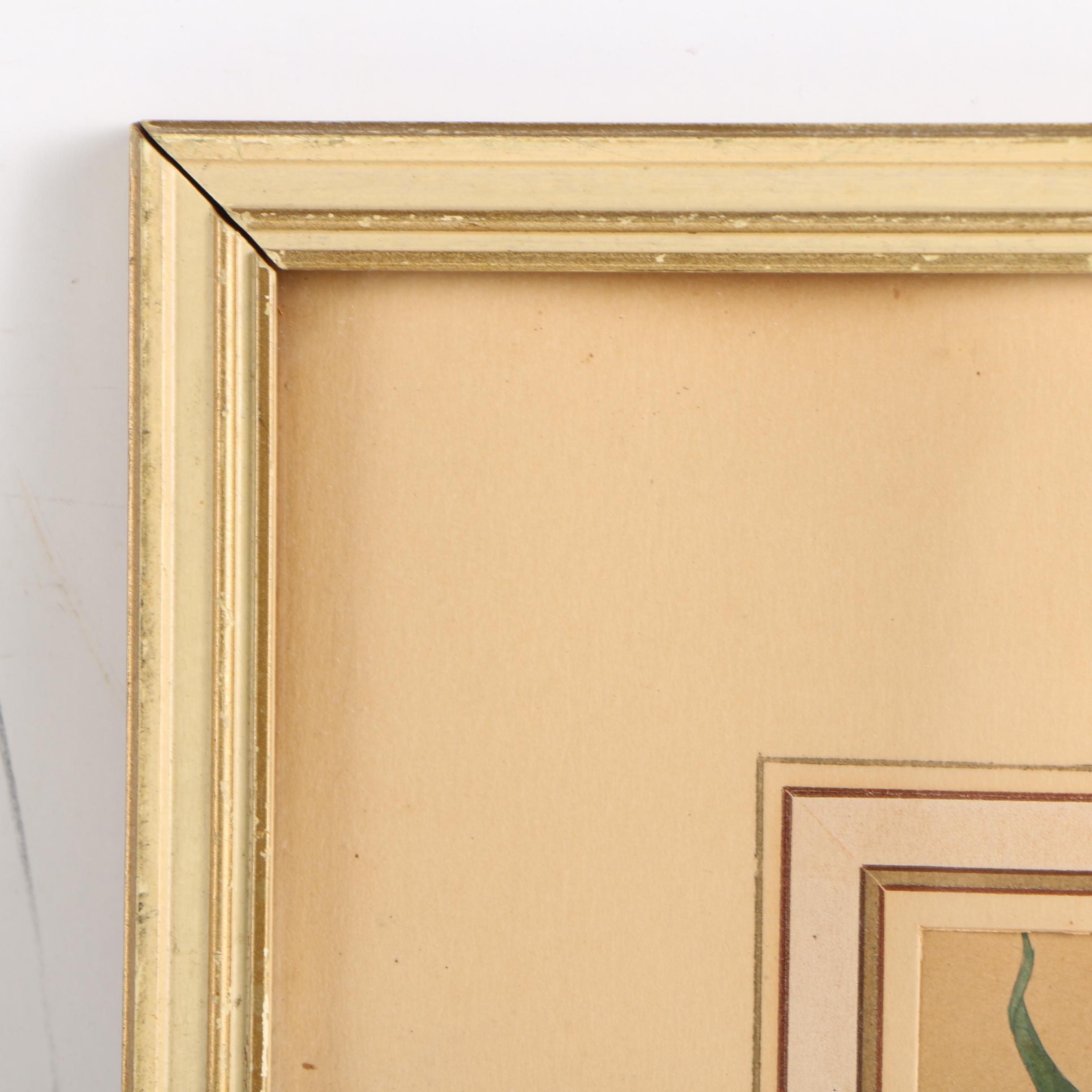 Early 20th-Century Hand Colored Lithographs of Dogwood and Gastrochilus Flowers