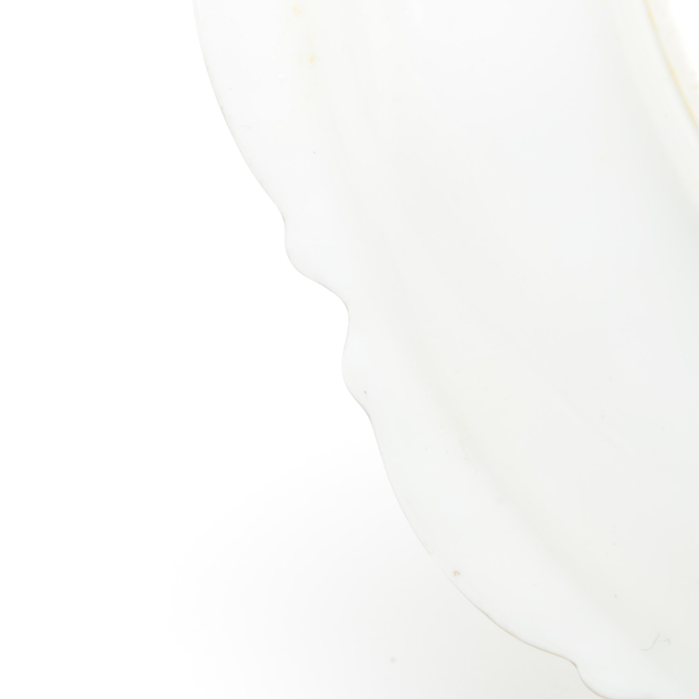 J.C. Limoges Porcelain Salad Plates