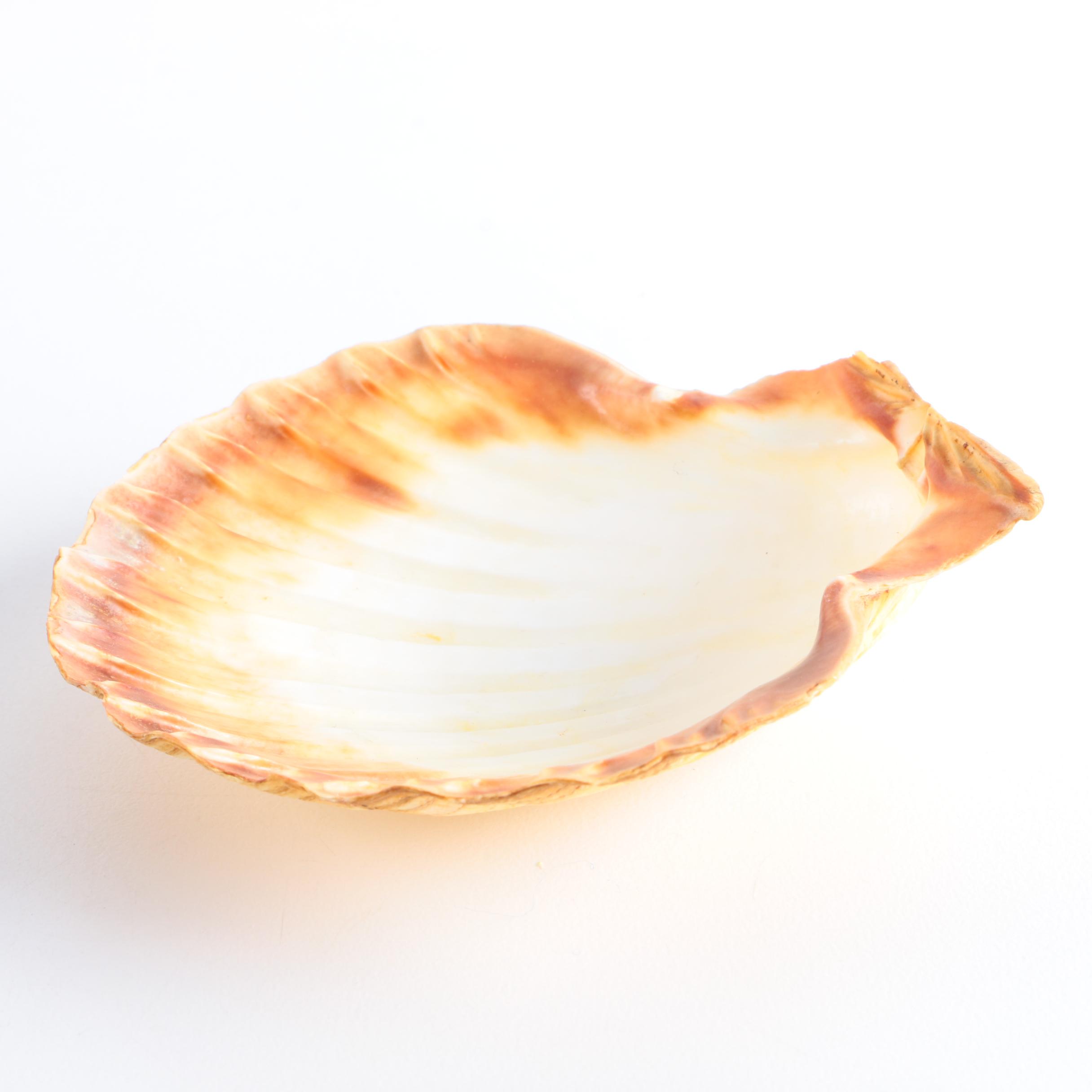 Collection of Tableware