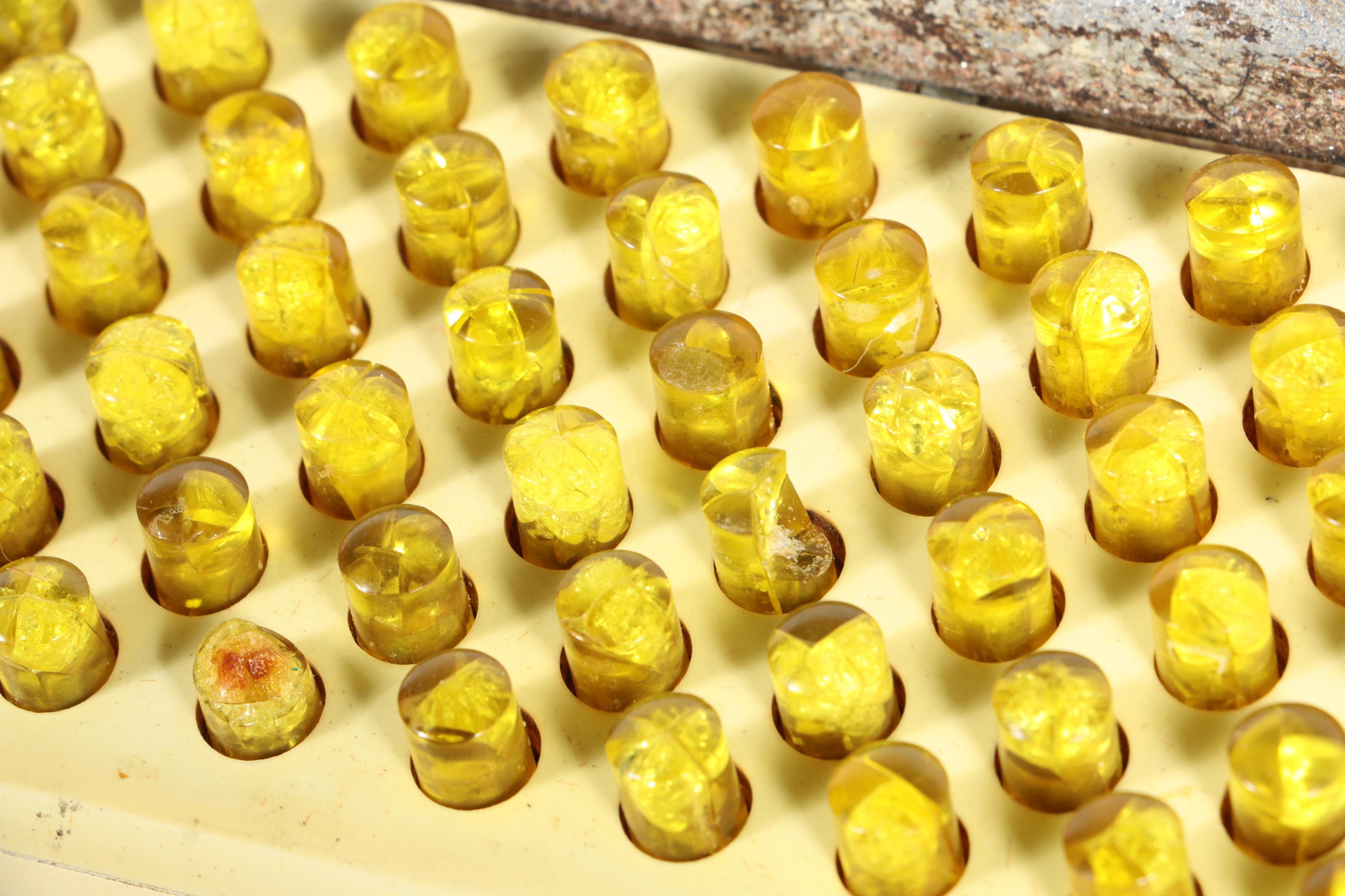 Vintage Pollina Glitter Accordion with Case