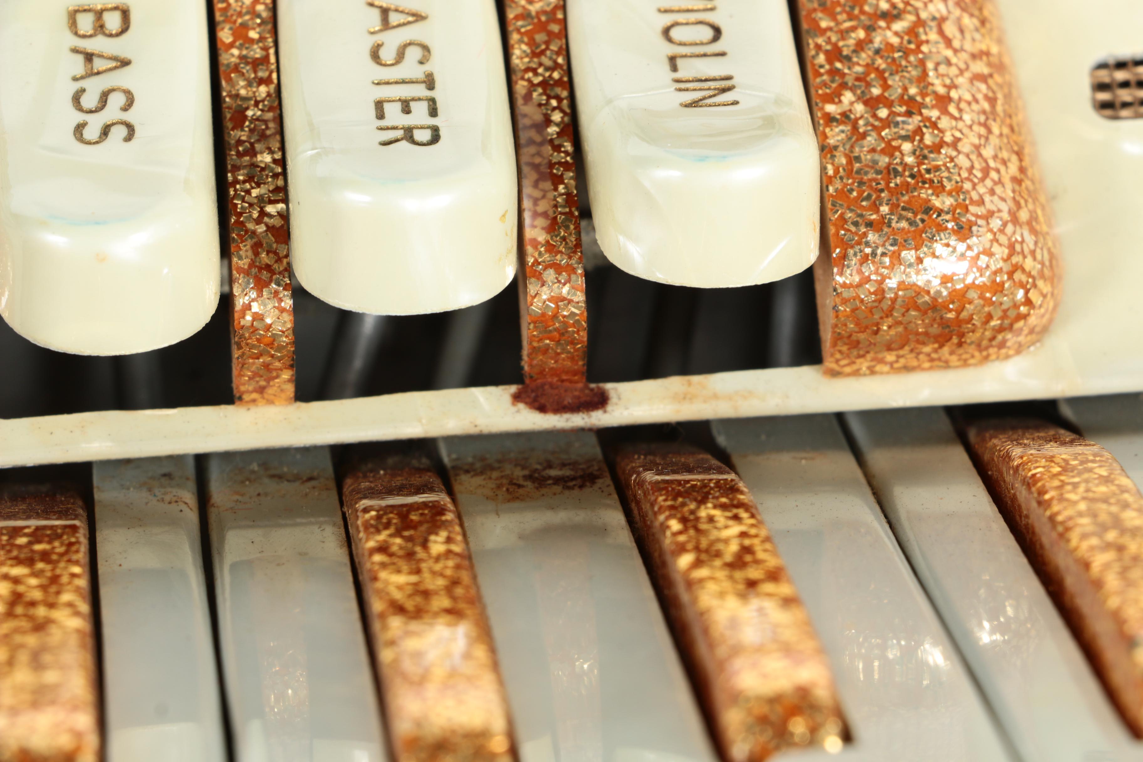 Vintage Pollina Glitter Accordion with Case