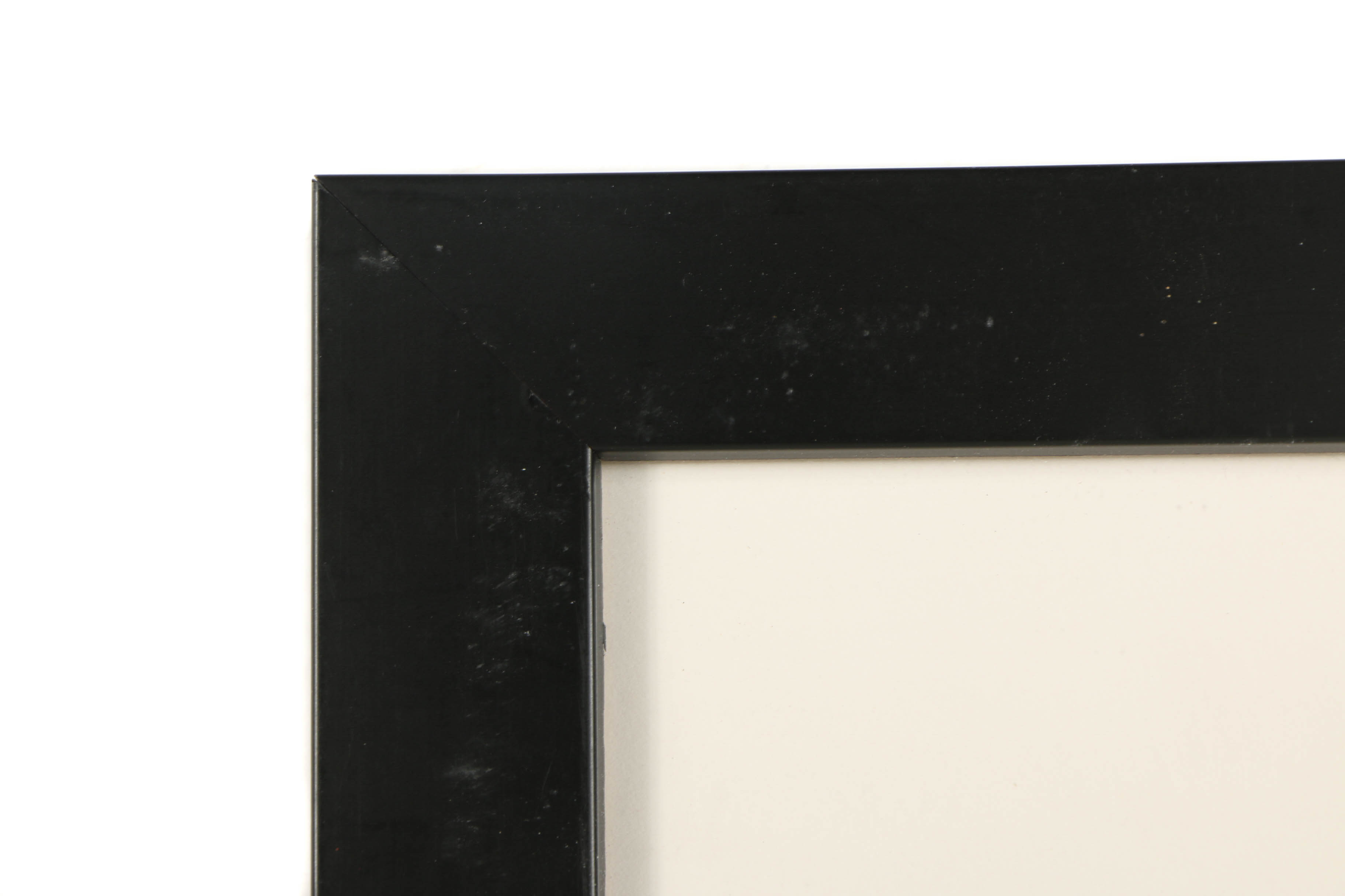 Serigraph Animation Cel "101 Dalmatians"