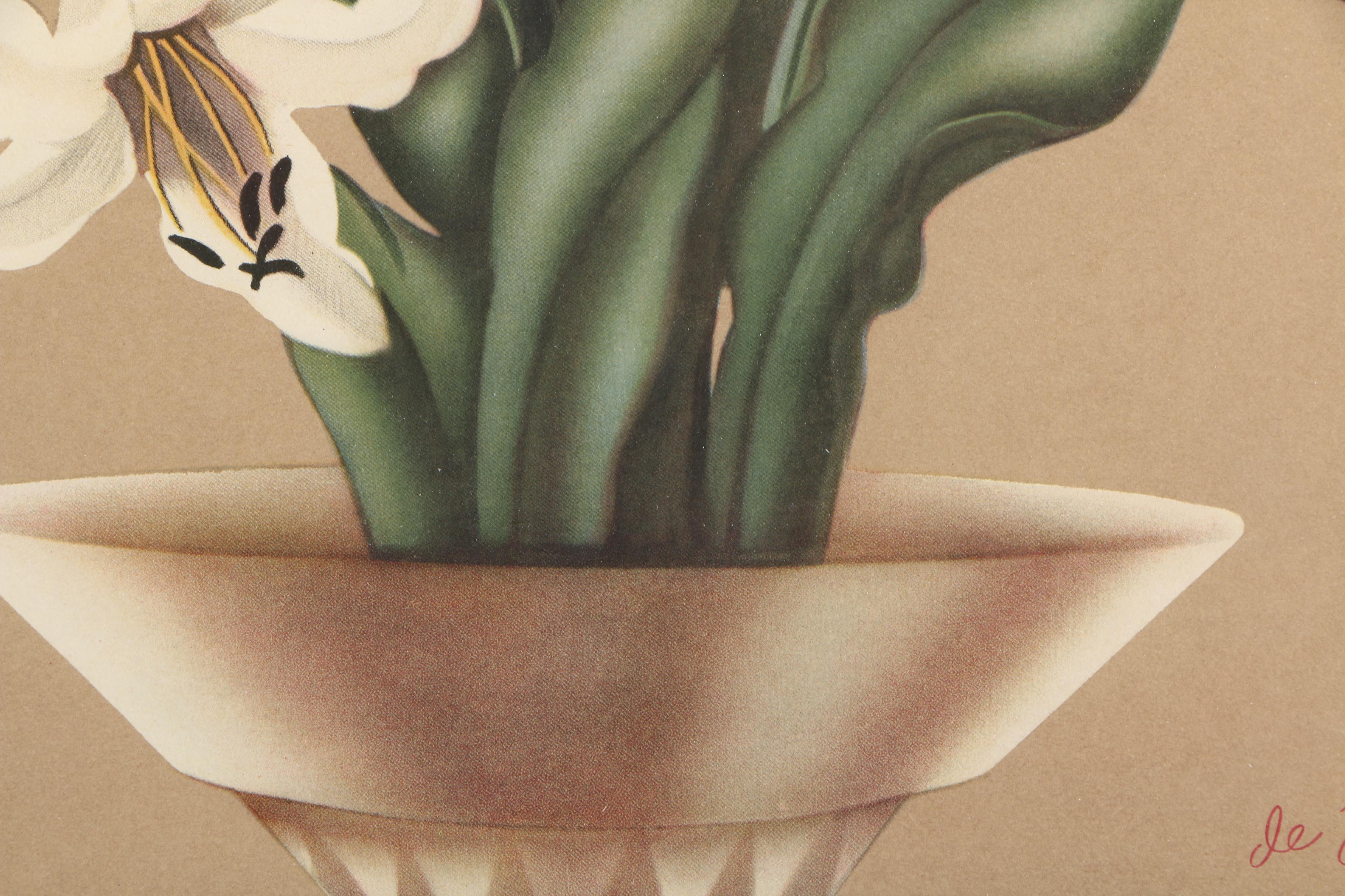 Offset Lithograph After Sanford De Jonge's Painting of Lilies