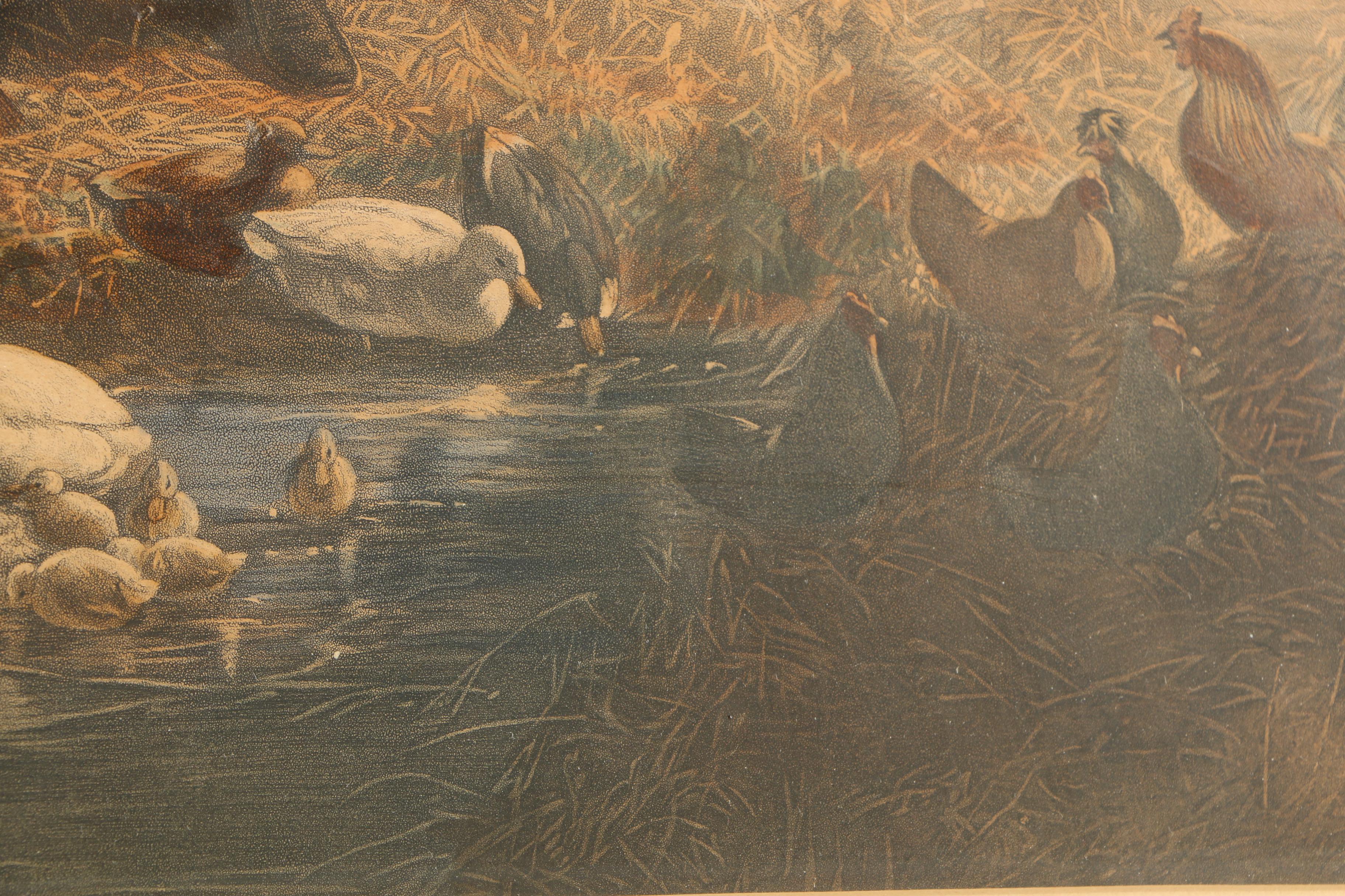 Etching With Aquatint After John Frederick Herring's "Morning"