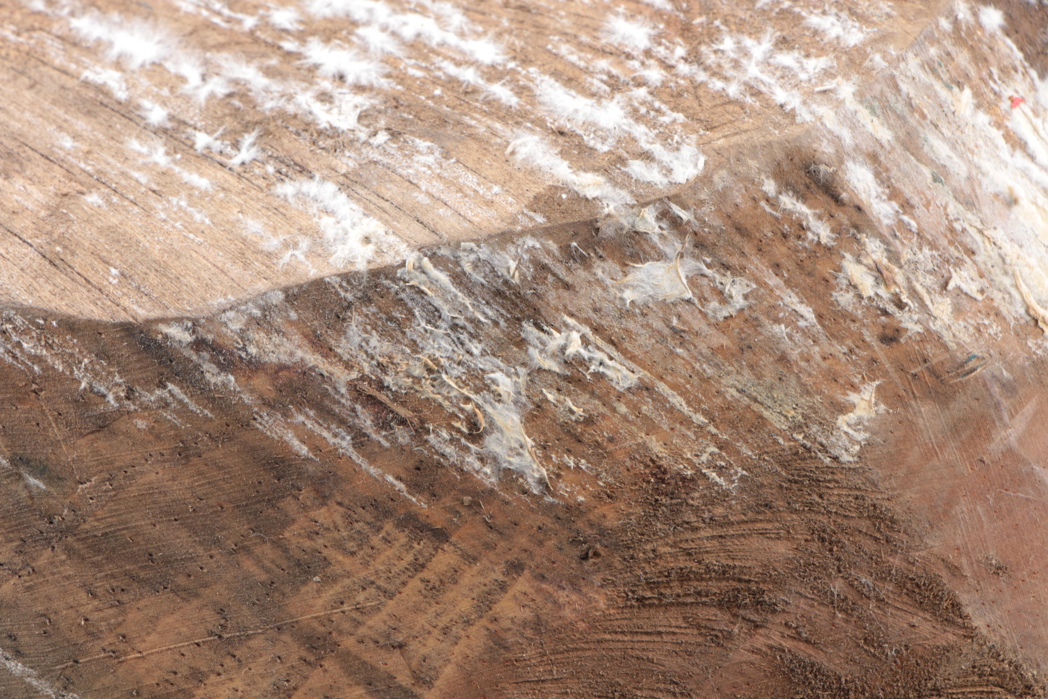 PRIORITY-Assorted Primitive Wood Bowls