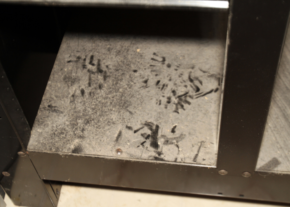 Craftsman Work Bench