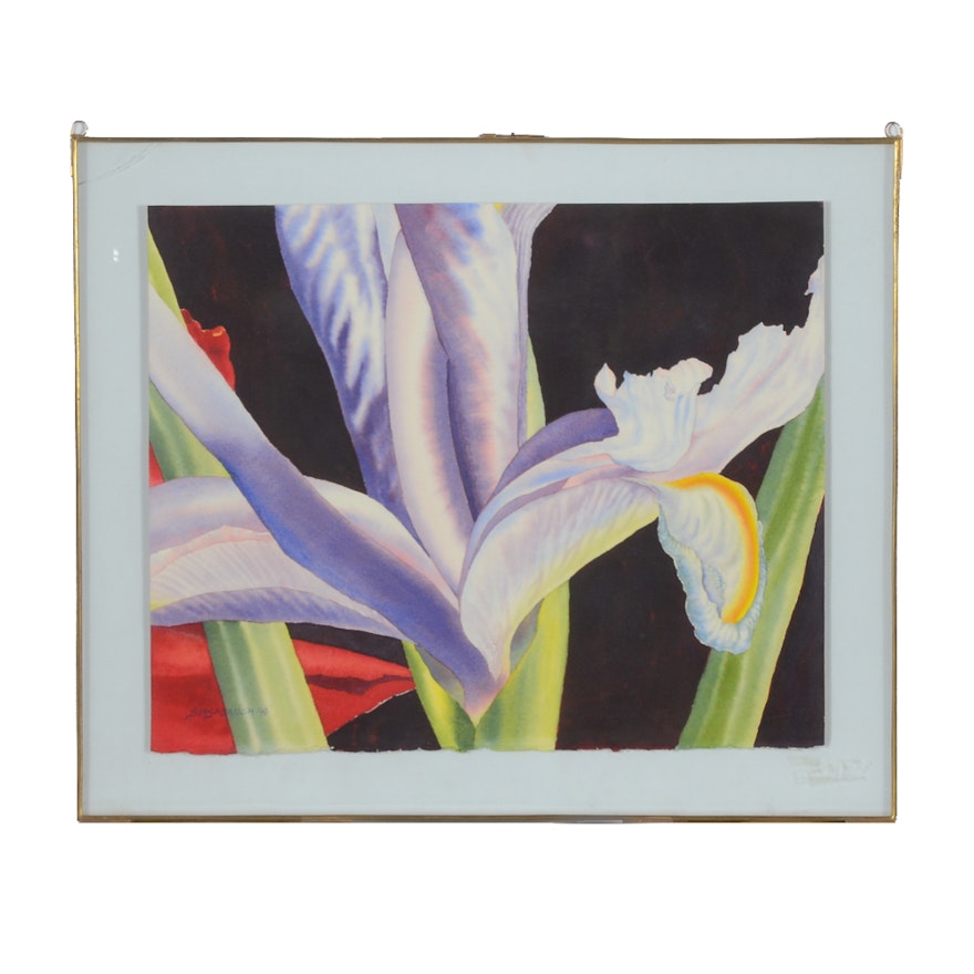 Sinsabaugh Watercolor Painting of an Iris