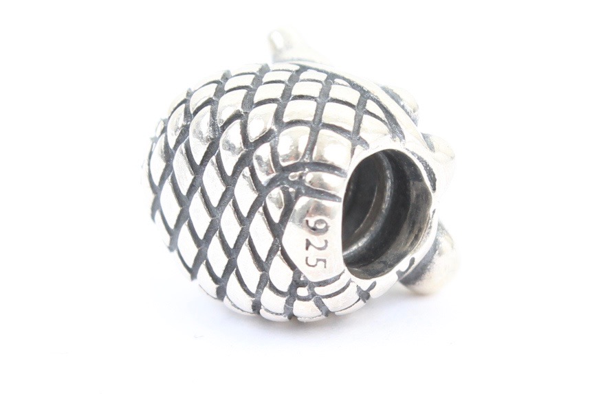 Pandora Sterling Silver Charms