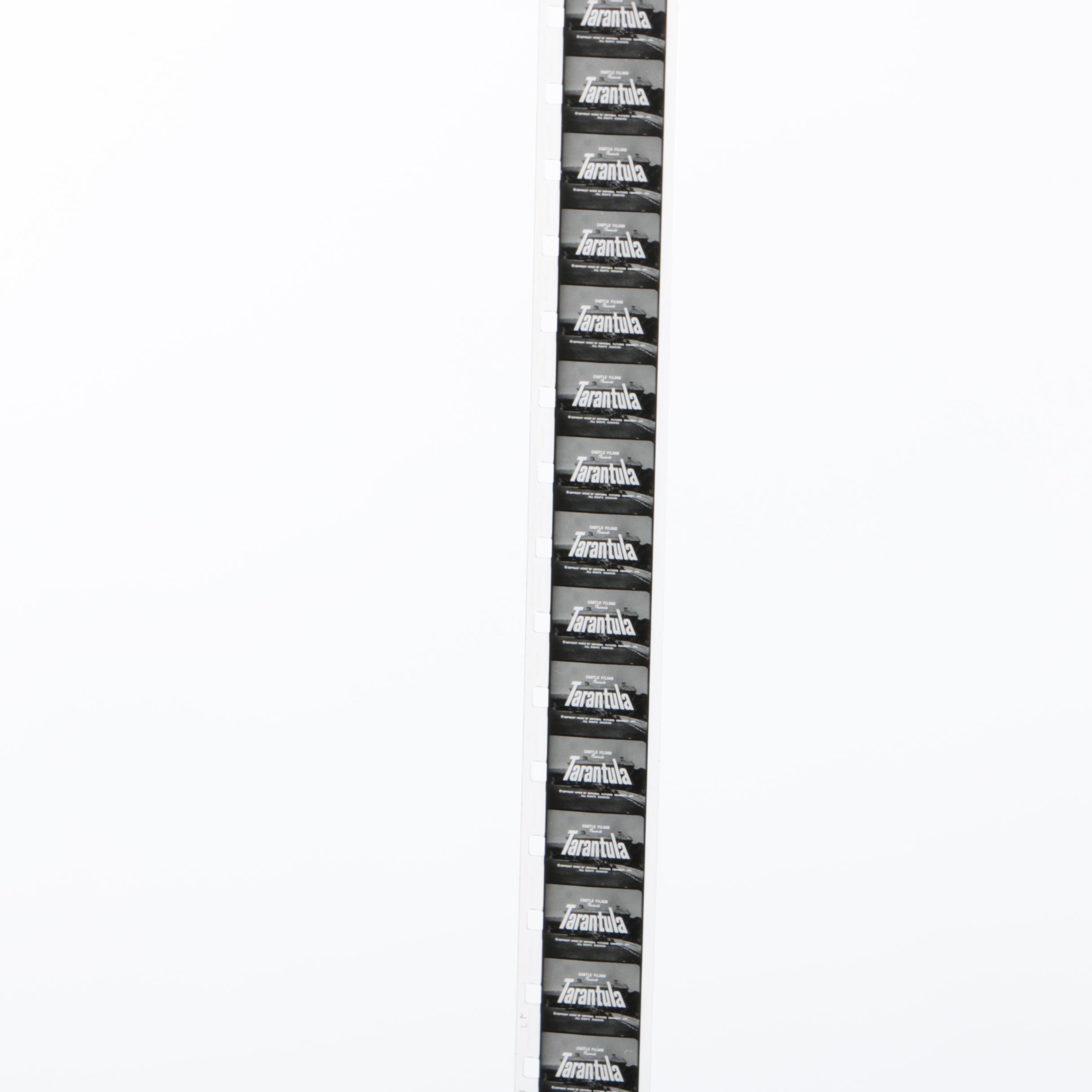 Abbott & Costello "Pardon My Sarong" 8MM Film