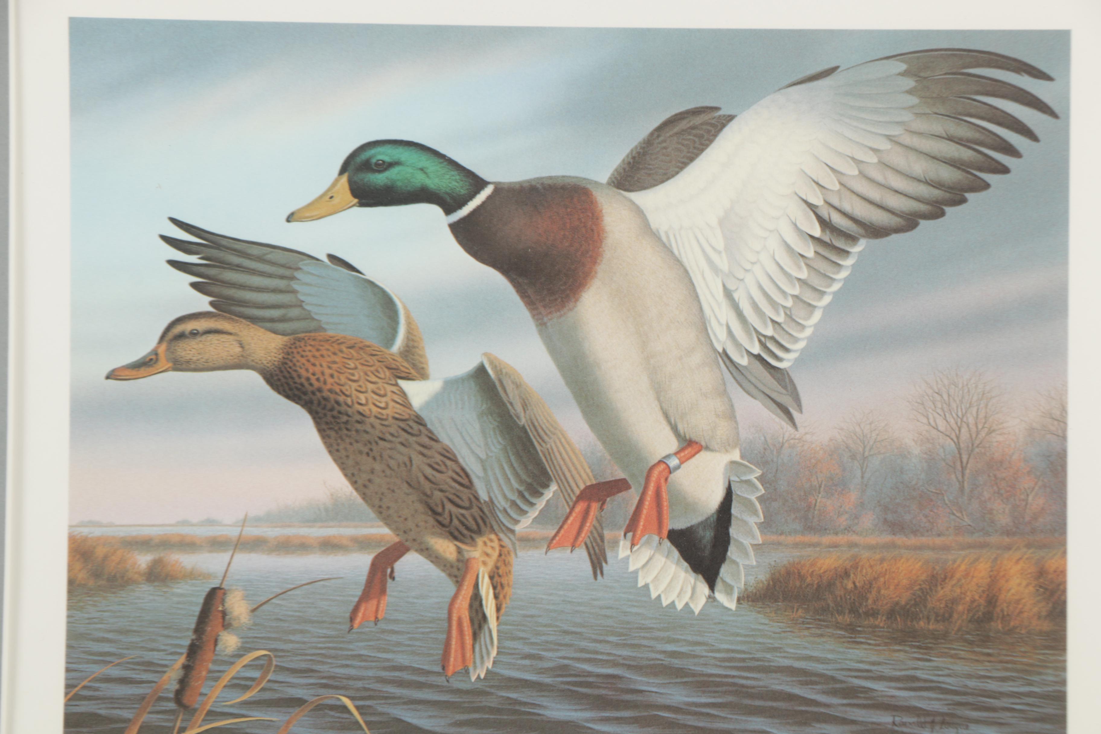Limited Edition Offset Lithographs of Waterfowl with Commemorative Stamps