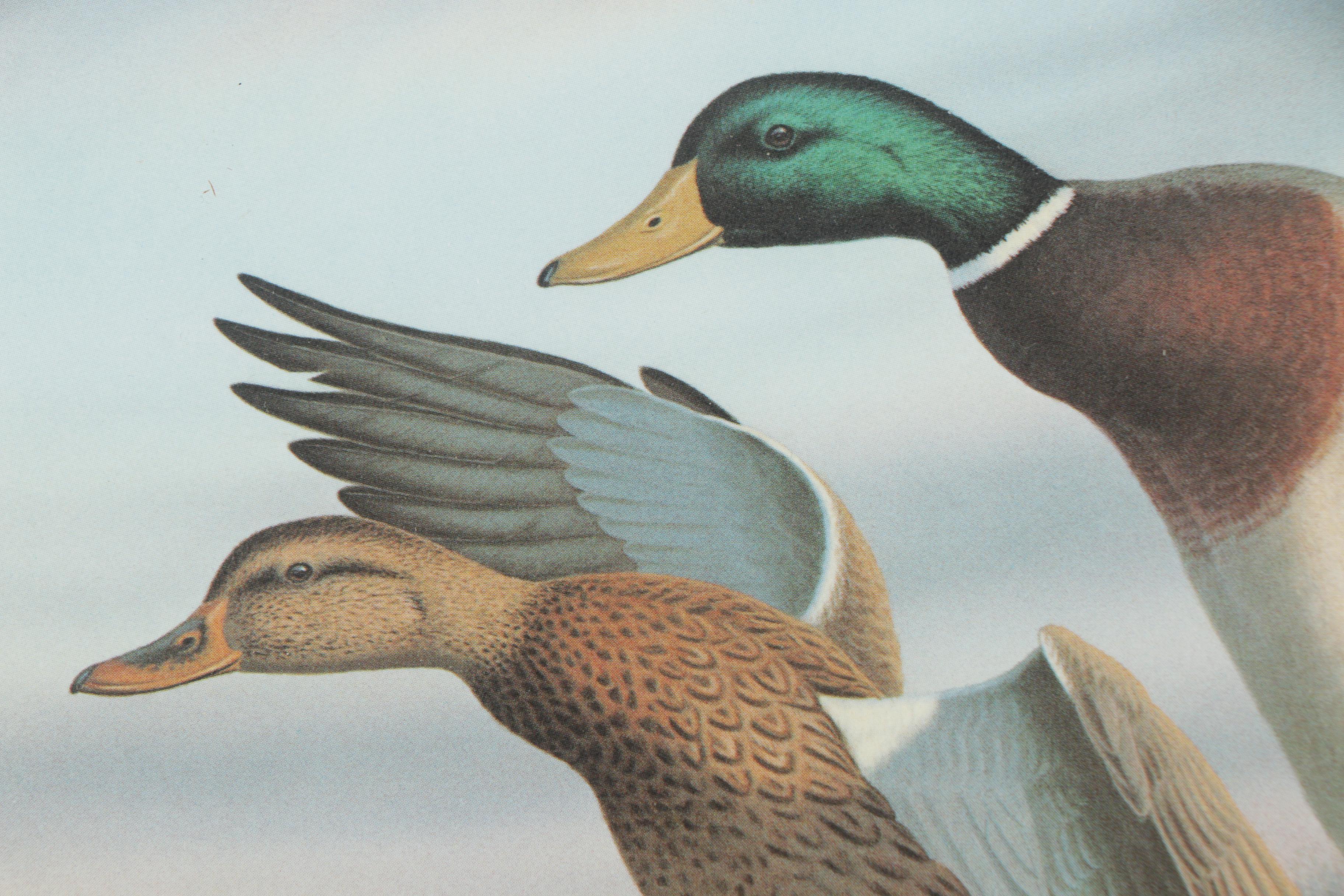 Limited Edition Offset Lithographs of Waterfowl with Commemorative Stamps