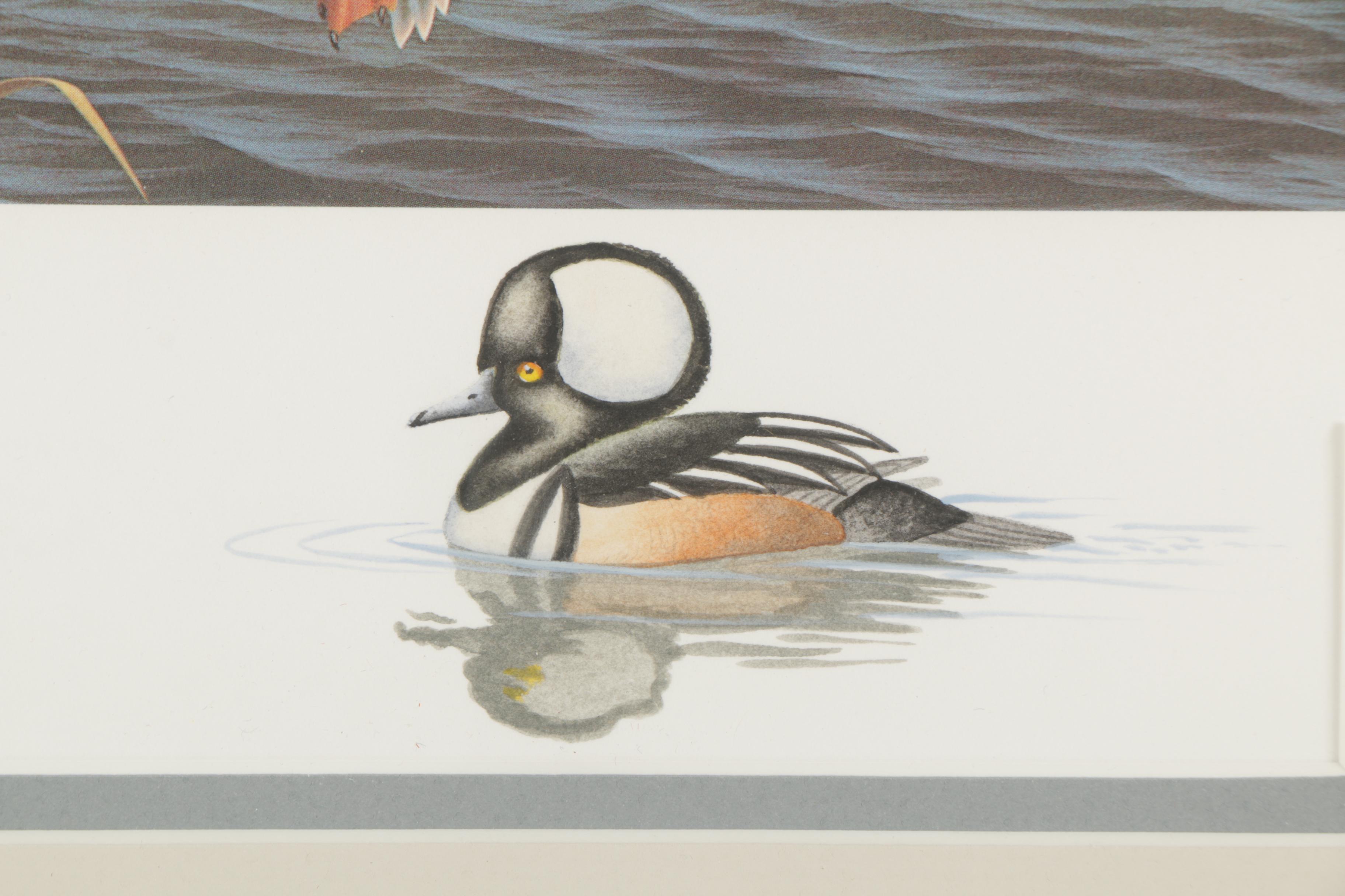 Limited Edition Offset Lithographs of Waterfowl with Commemorative Stamps