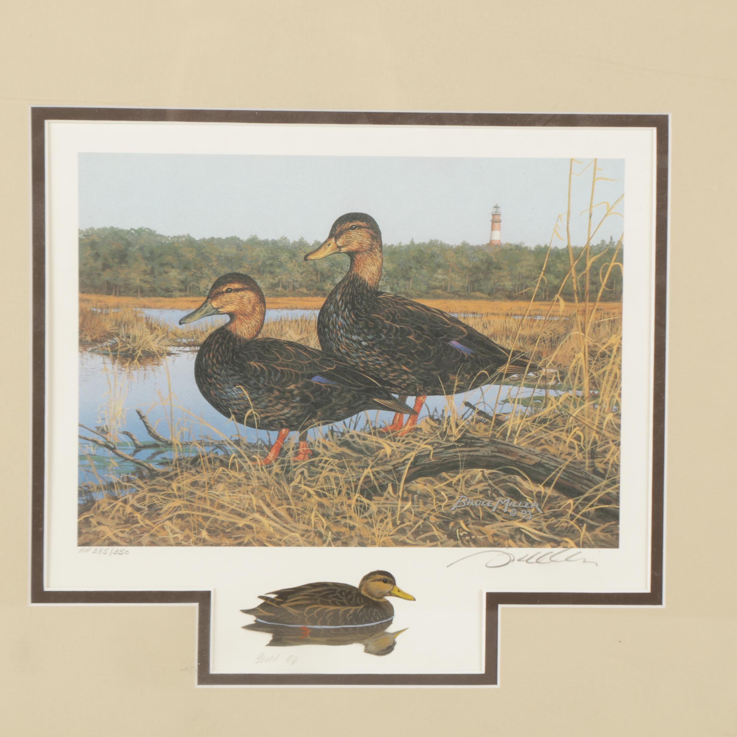 Limited Edition Offset Lithographs of Waterfowl with Commemorative Stamps